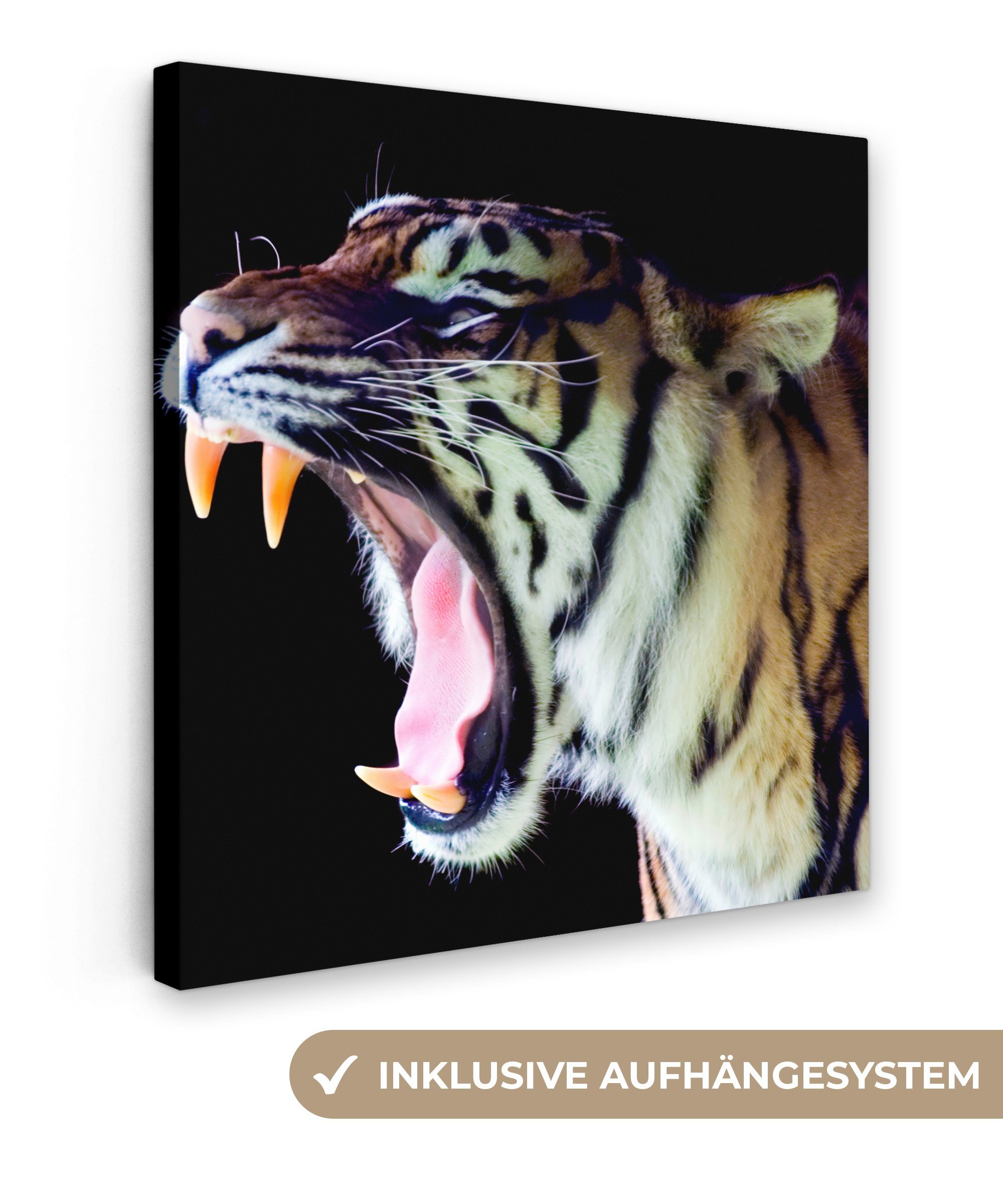 OneMillionCanvasses® Leinwandbild Tiger - Zähne - Porträt, (1 St), Leinwand Bilder für Wohnzimmer Schlafzimmer, 20x20 cm