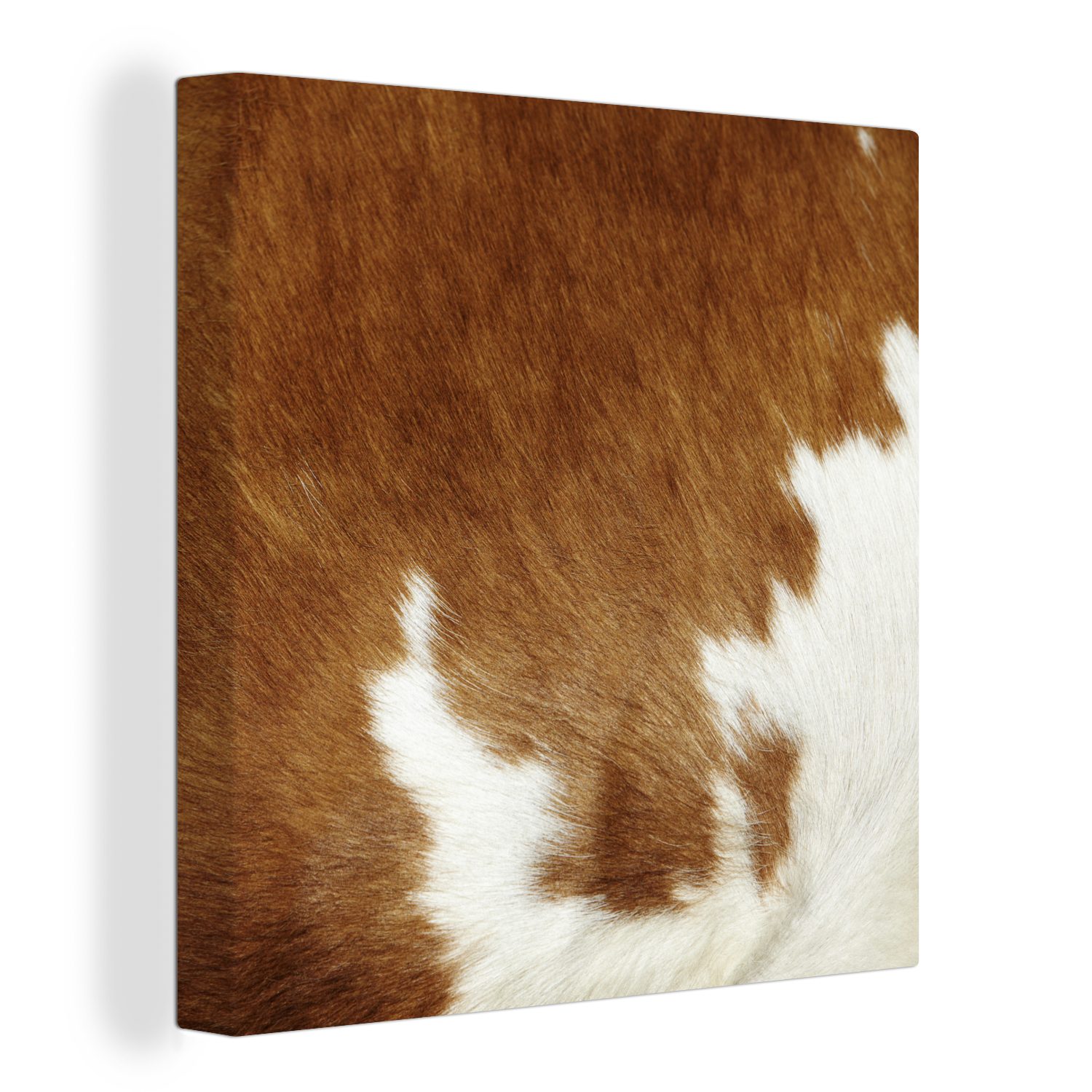 OneMillionCanvasses® Leinwandbild Eine melierte Kuhhaut, (1 St), Leinwand Bilder für Wohnzimmer Schlafzimmer