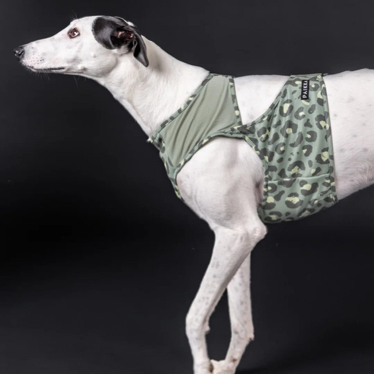 PAIKKA Hundeweste Hunde Kühlweste "Cool Vest" grün Leo