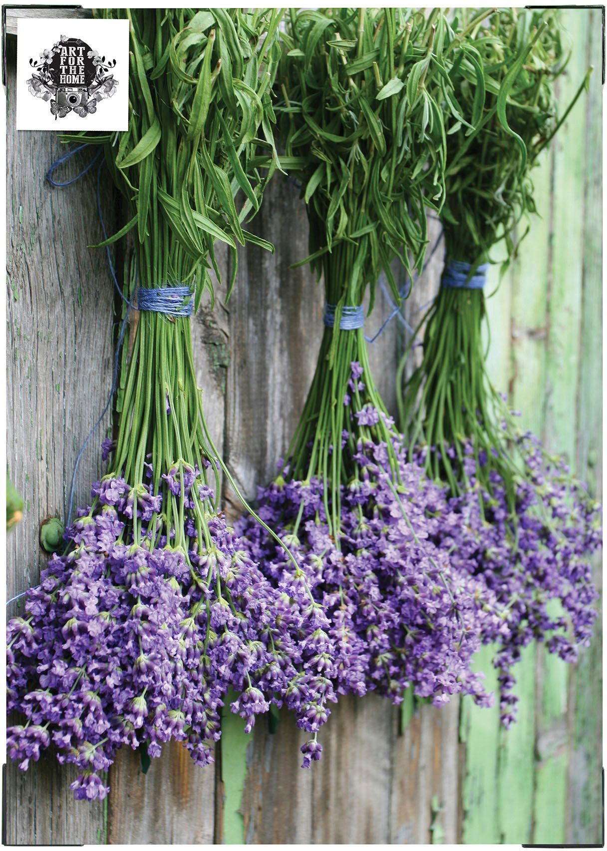 Art for the home Leinwandbild Outdoor Lavendel 50x70cm, Blumen, Romantisch (1 St), Leinwand für draußen - Lavendel - 70x50cm