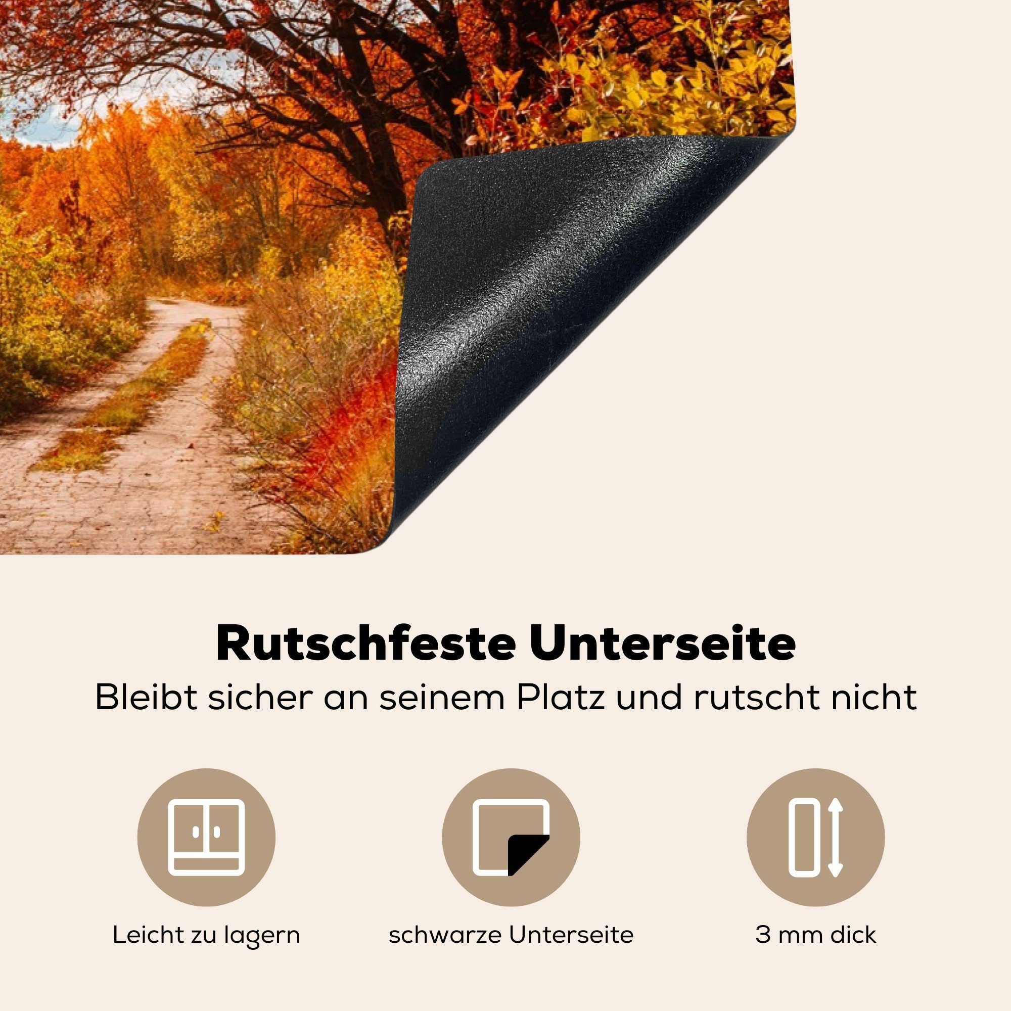 MuchoWow Herdblende-/Abdeckplatte Baum - Weg Induktionskochfeld (1 Herbst, Schutz Vinyl, die küche, für 81x52 cm, Ceranfeldabdeckung tlg), 