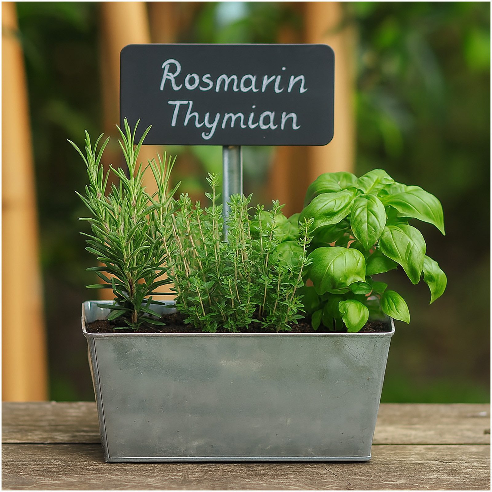 HTI-Living Blumenkasten Blumenkasten 2er Set mit günstig online kaufen