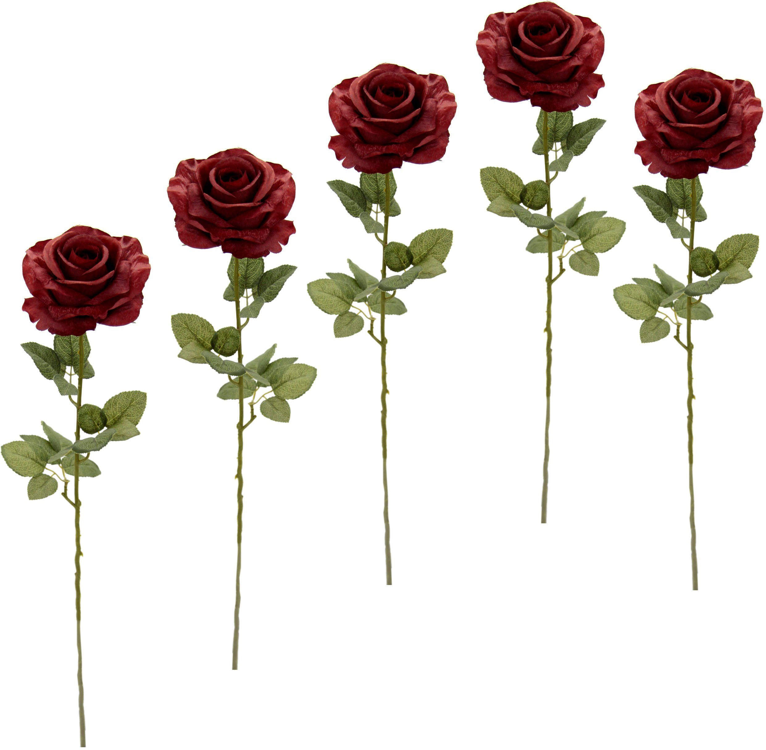 Kunstblume Rose, I.GE.A., Höhe 68 cm, 5er Set dunkelrot