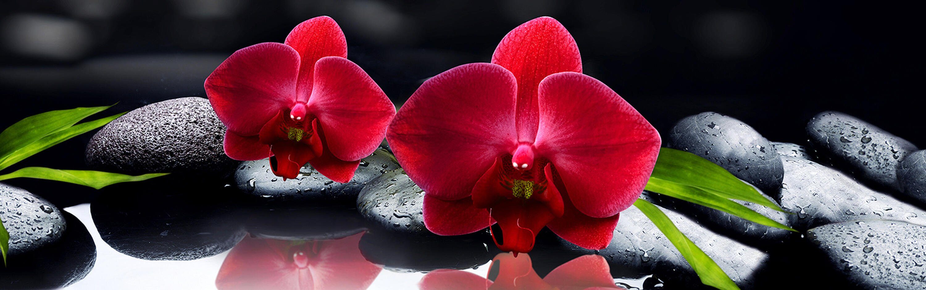 Steine Hartschaum (1-tlg), Orchidee wandmotiv24 versch. rot schwarz Spie, Premium tropfen Nischenrückwand Küchenrückwand in Größen