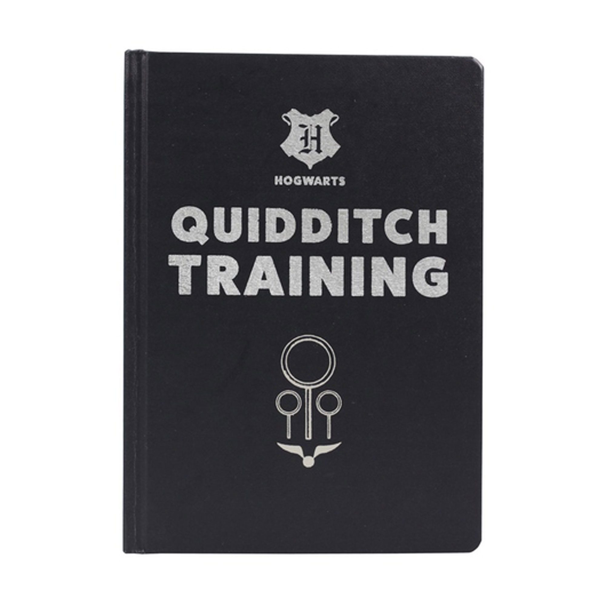 Dekoobjekt Harry Potter - Merchandise - Quidditch