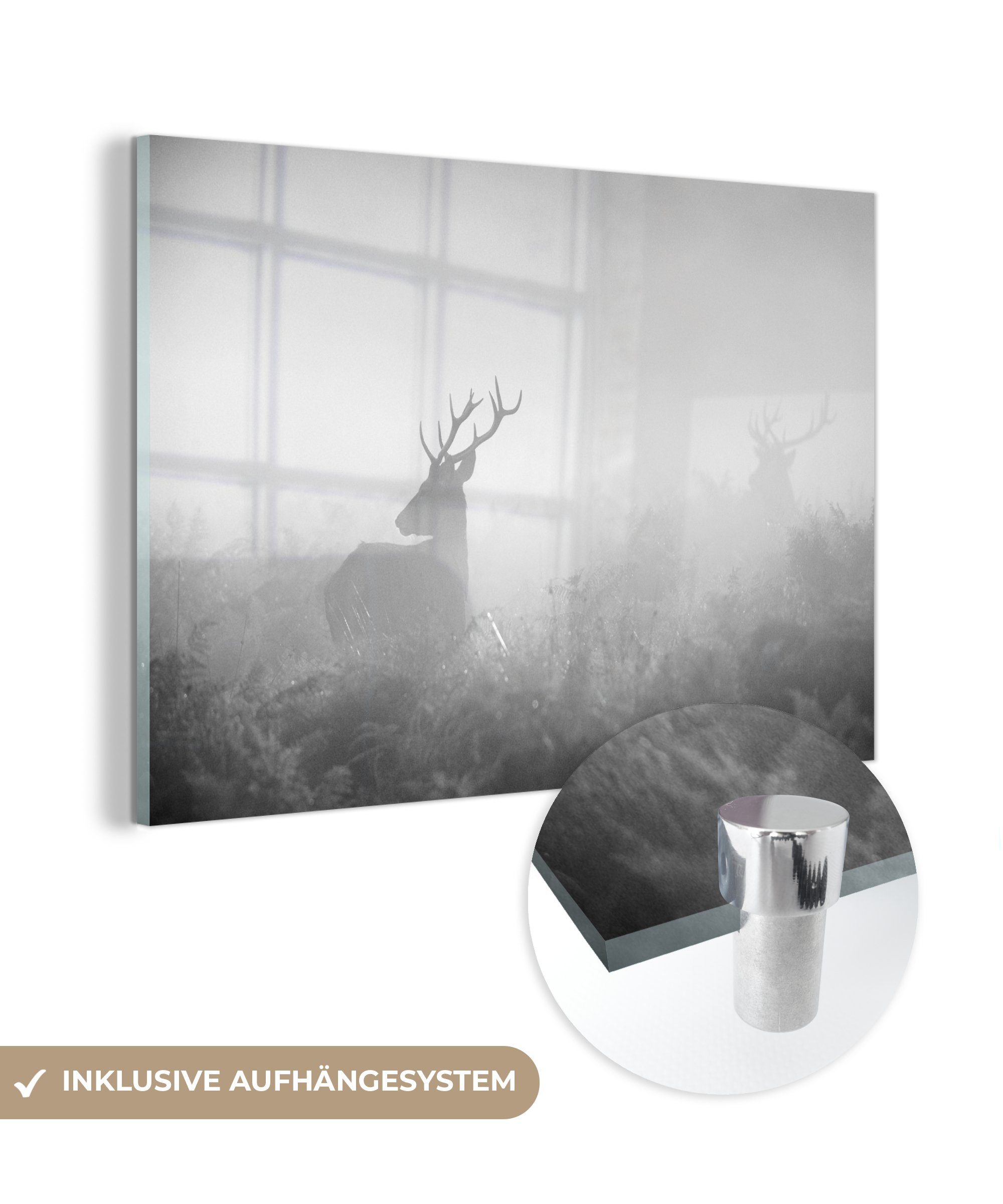 und im Wohnzimmer Acrylglasbilder Hirsch Nebel (1 MuchoWow weiß, schwarz St), & - Schlafzimmer Acrylglasbild
