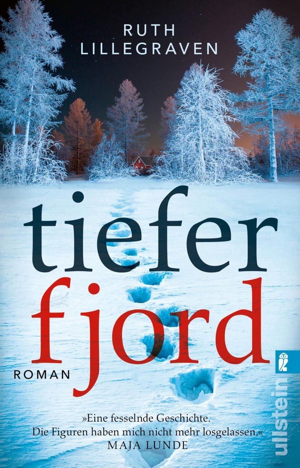 Tiefer Fjord / Ruth Lillegraven, Roman, Dieser Thriller wird Sie in den Abgrund reißen