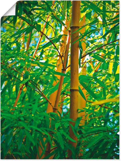 Artland Wandbild »Bambus Nahaufnahmen«, Gräser (1 Stück)-Otto