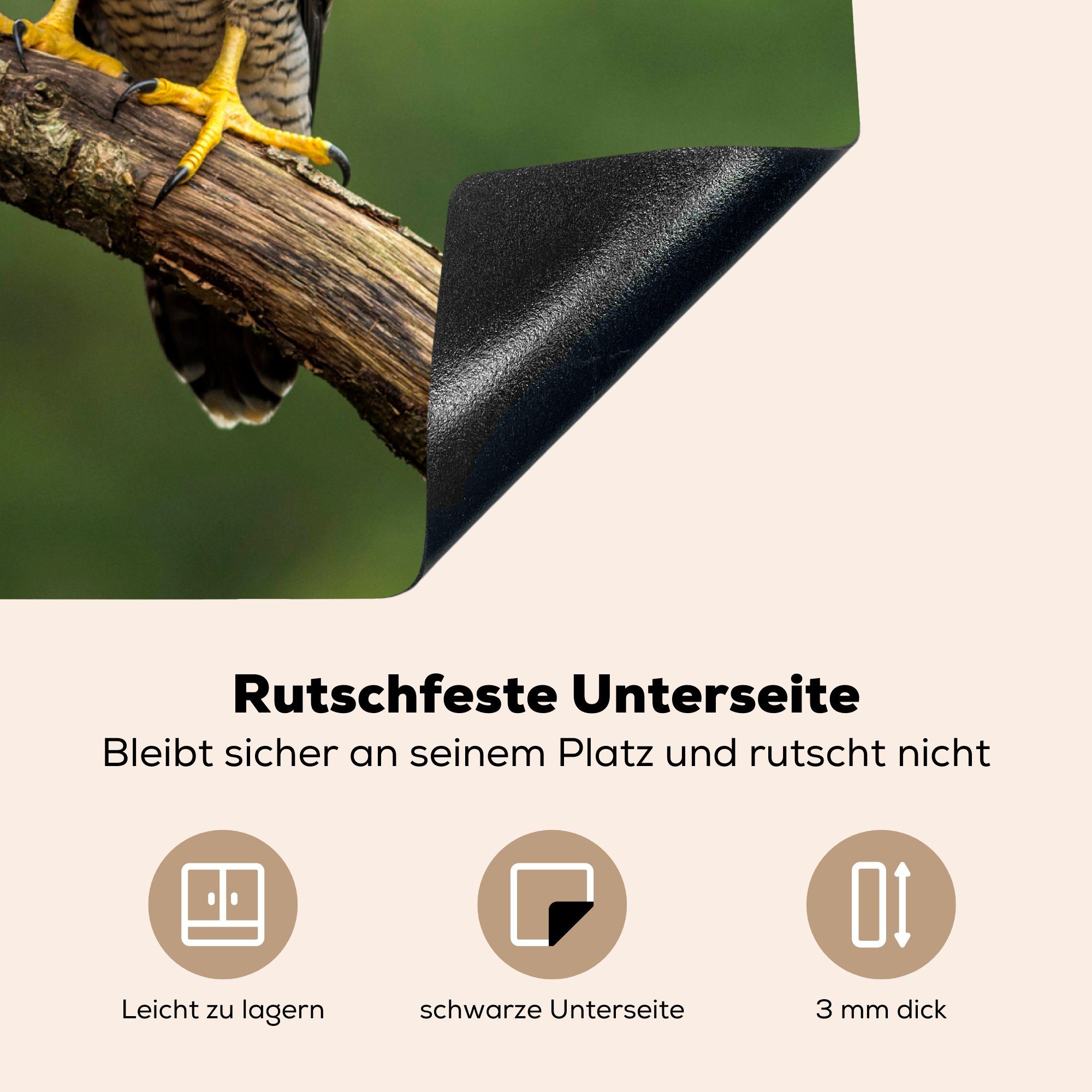 die Herdblende-/Abdeckplatte MuchoWow für cm, tlg), Äste Schutz Induktionskochfeld (1 - - Vogel, Wanderfalke Vinyl, 71x52 Ceranfeldabdeckung küche,