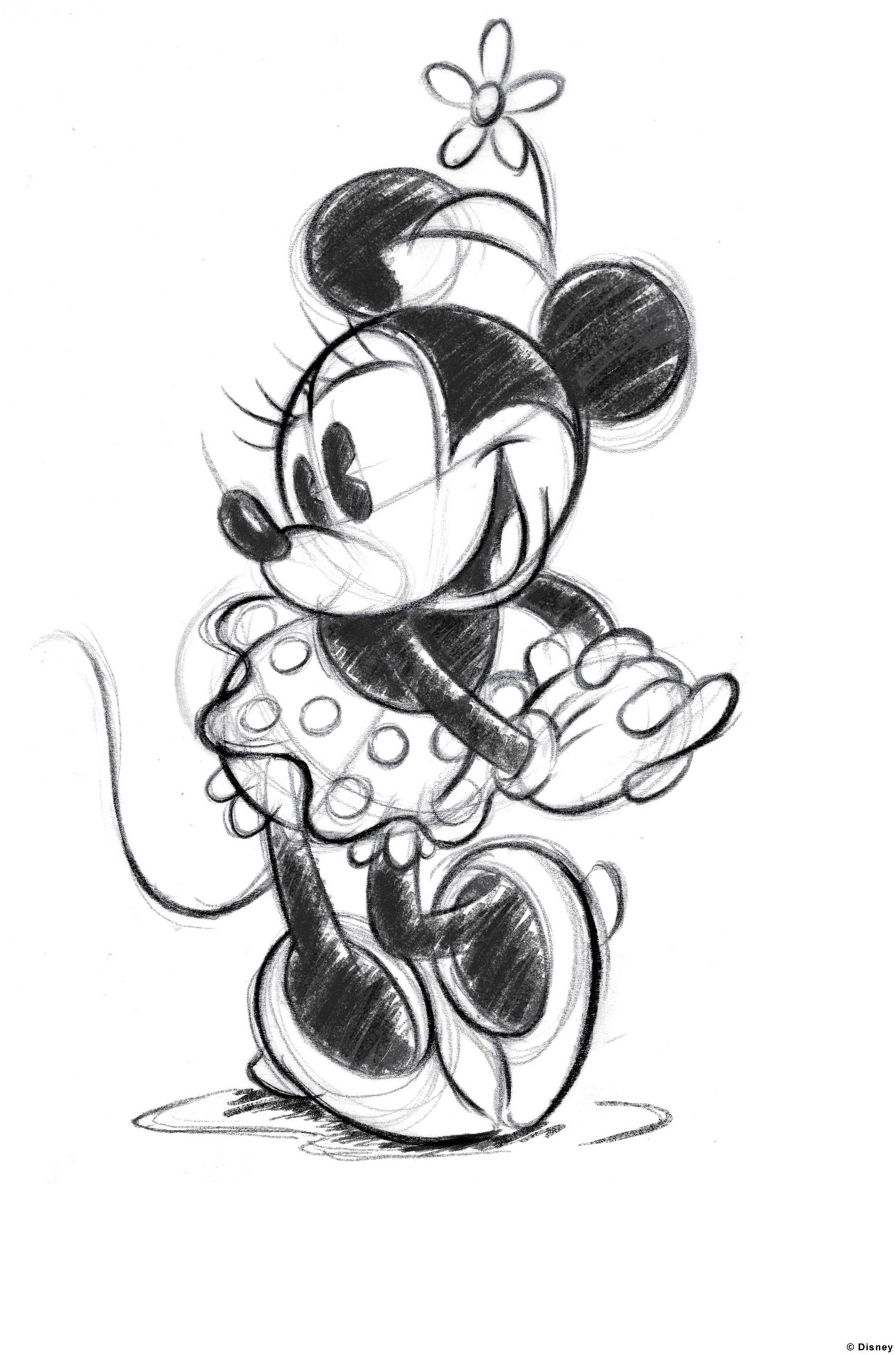 Disney Leinwandbild Minnie Sketch, (1 St)