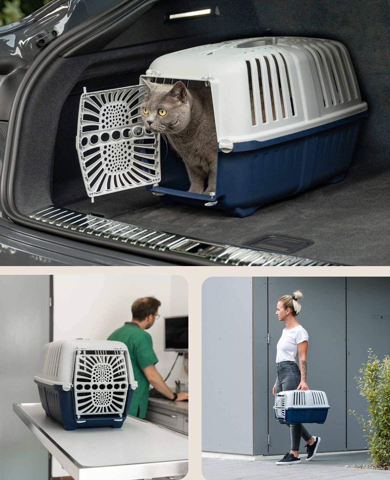 lionto Tiertransportbox für Katzen bis 15 kg, mit Tragegriff & sicherem Schließsystem