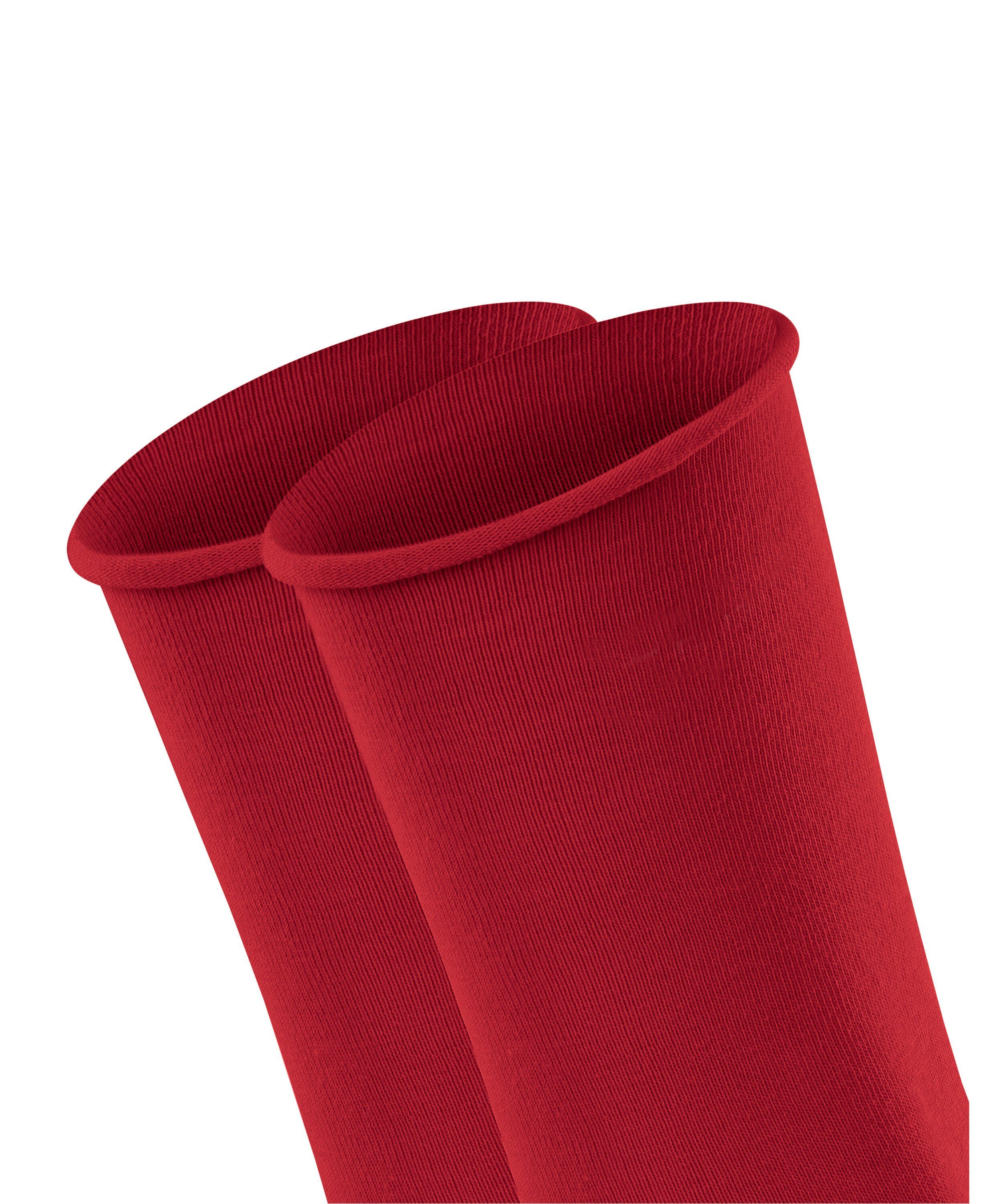 Esprit Socken Basic (8074) pepper red (2-Paar) 2-Pack Pure