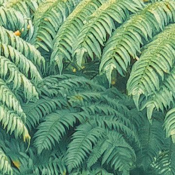 Komar Fototapete Vlies Fototapete - Jungle Lands - Größe 400 x 250 cm, glatt, bedruckt, (Packung, 1 St)
