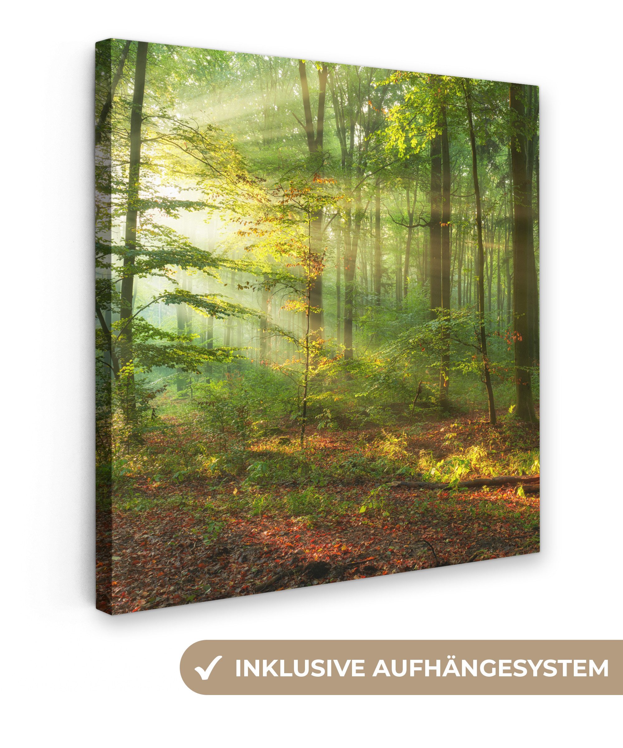 OneMillionCanvasses® Leinwandbild Sonne - Wald - Bäume - Natur - Herbst, Fo günstig online kaufen