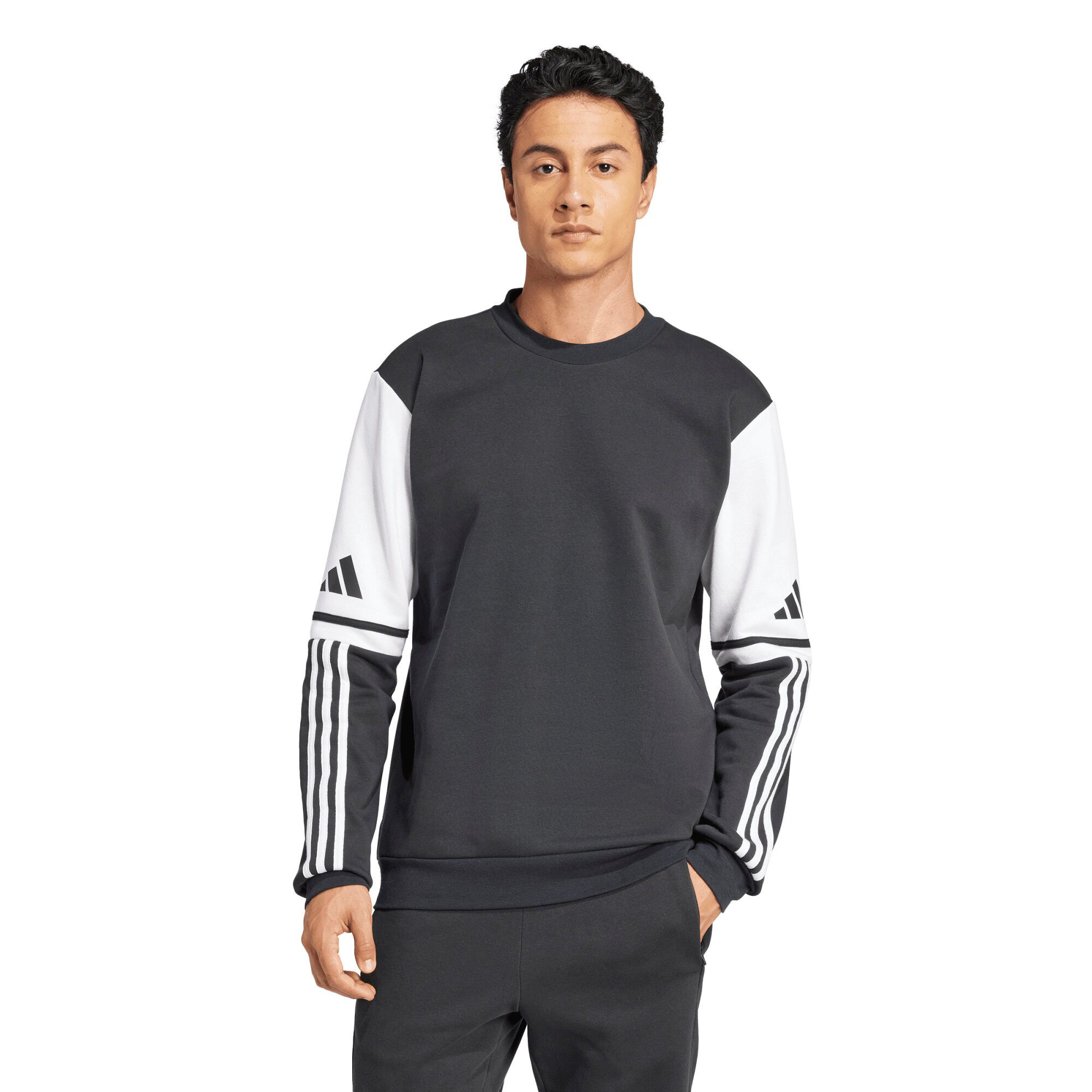adidas Performance Fleecepullover adidas Herren Pullover Squadra 25 SW CREW günstig online kaufen