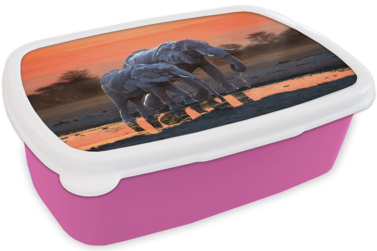 Elefant Tiere Erwachsene, rosa Snackbox, Kunststoff, Orange, Brotbox - Lunchbox Mädchen, Sonnenuntergang Kinder, (2-tlg), - MuchoWow - Kunststoff - Brotdose für Wasser