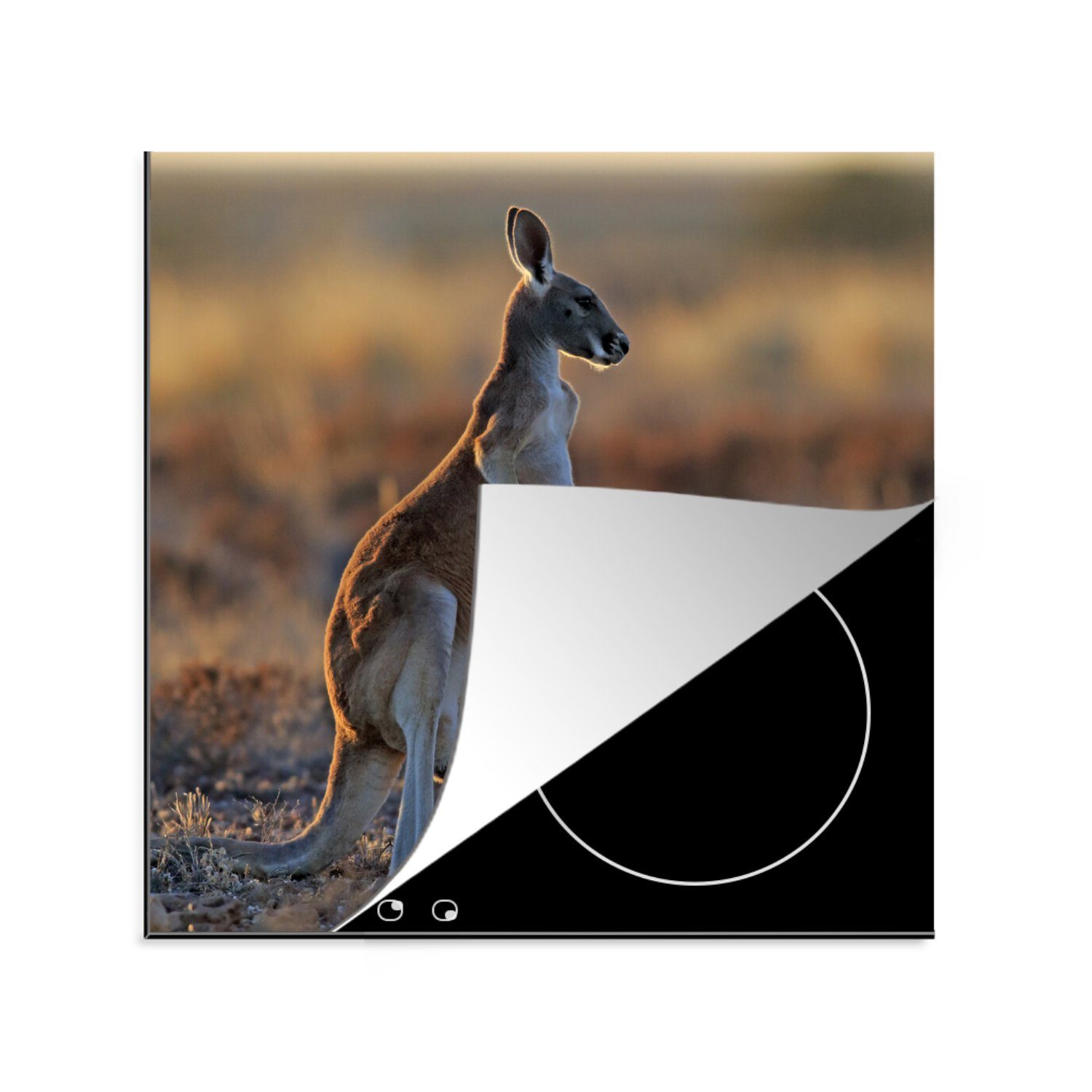 MuchoWow Herdblende-/Abdeckplatte Tiere - Känguru - Natur, Vinyl, (1 tlg), 78x78 cm, Ceranfeldabdeckung, Arbeitsplatte für küche