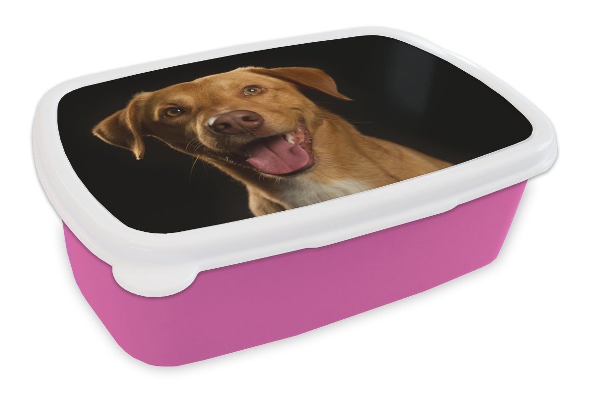 Porträt, Brotdose - (2-tlg), Lunchbox Kunststoff für Haustiere Hund Erwachsene, Kinder, MuchoWow rosa Kunststoff, Snackbox, - Brotbox Mädchen,