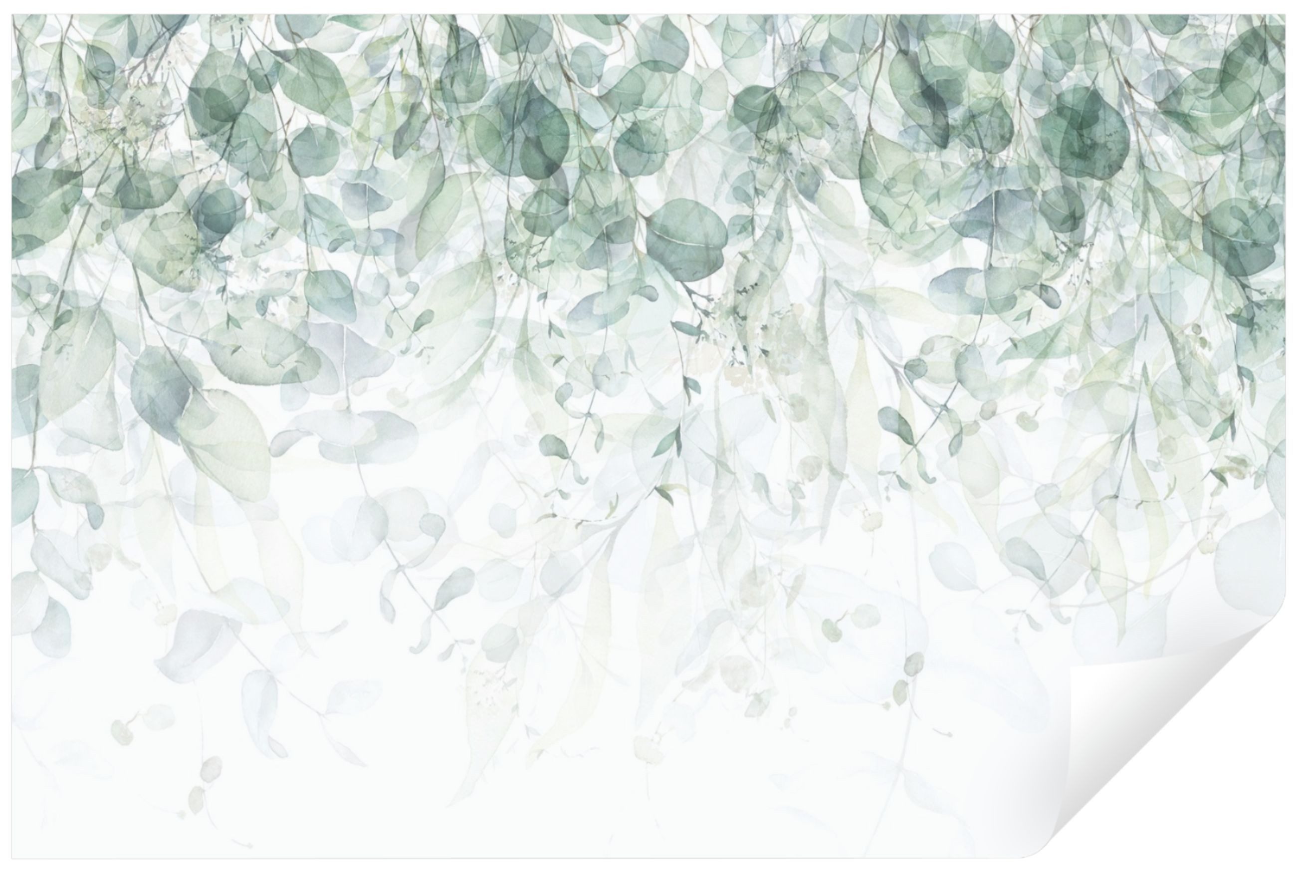 Wallarena Fototapete Blätter Pflanzen Grün Natur Wohnzimmer Schlafzimmer Wa günstig online kaufen