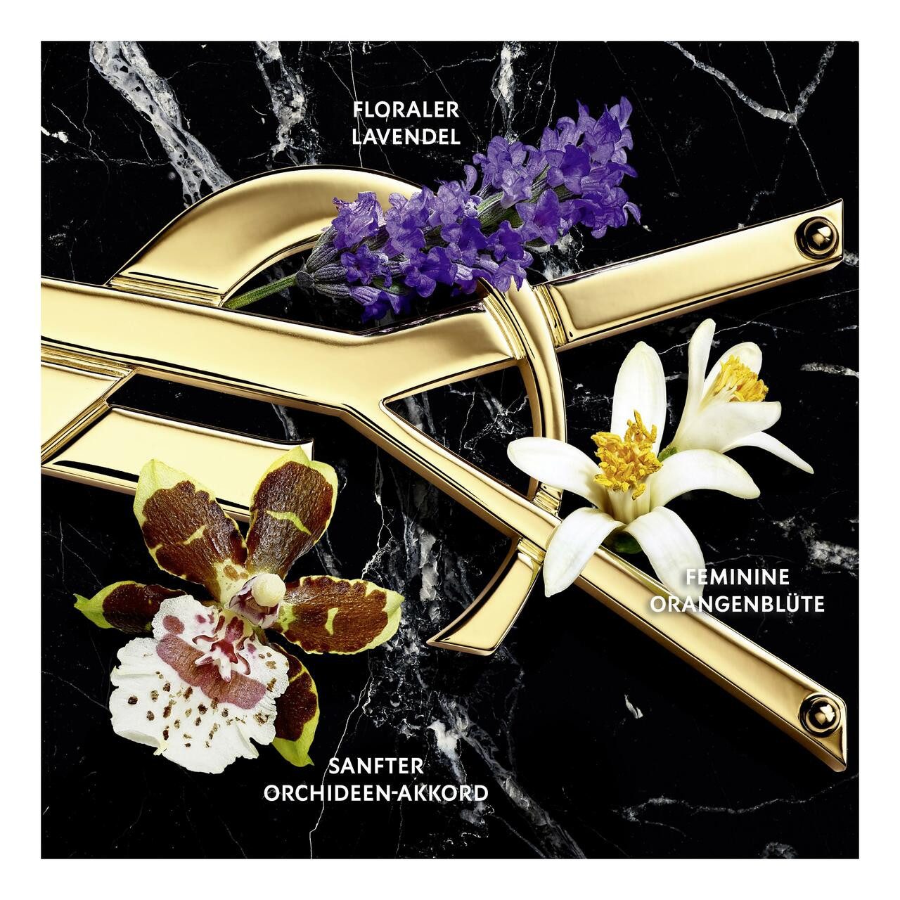 YVES SAINT LAURENT Eau de Parfum Libre Intense E.d.P. Nat. Spray, Damenduft, elegant