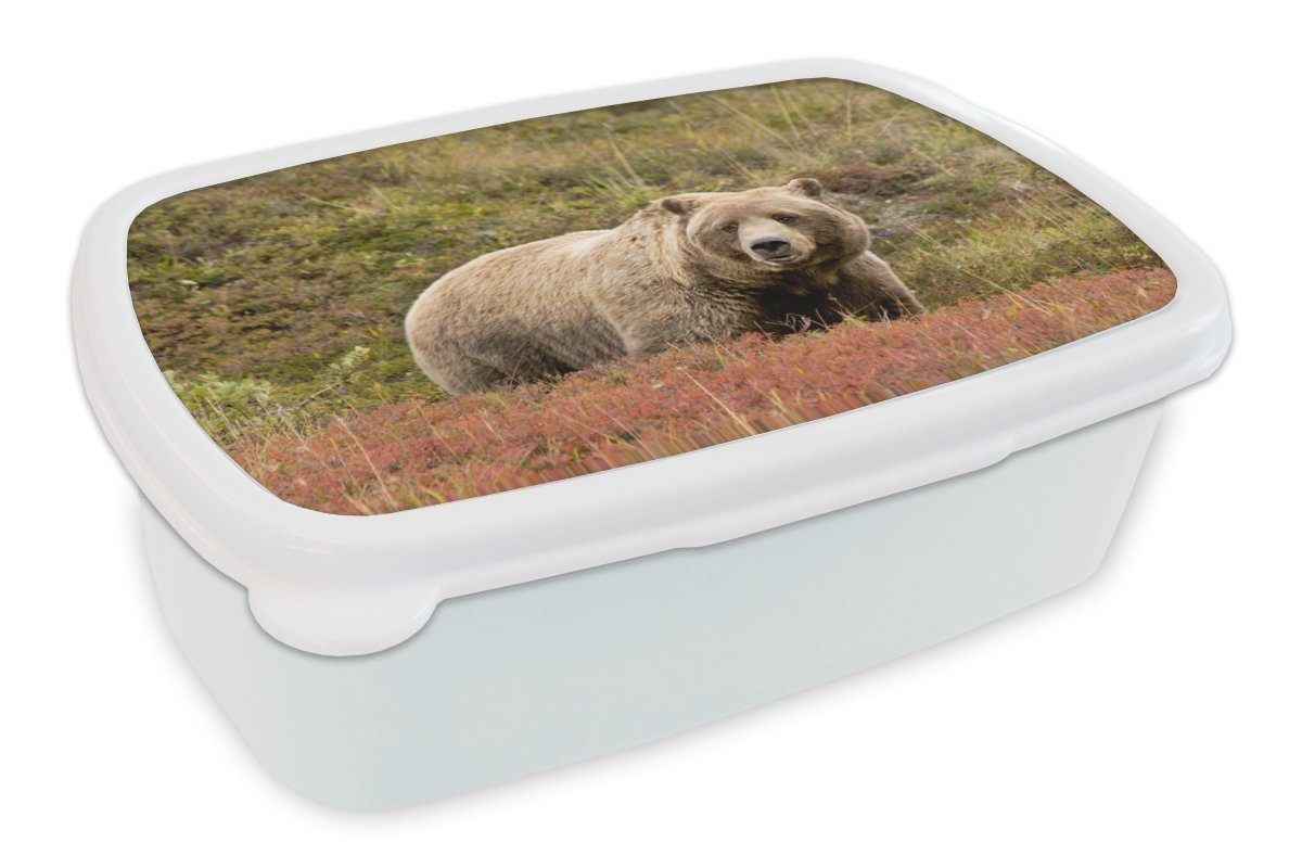 MuchoWow Lunchbox Bär - Heidekraut Grizzly, - Mädchen und weiß Kunststoff, Jungs Kinder Brotbox und Erwachsene, (2-tlg), für Brotdose, für