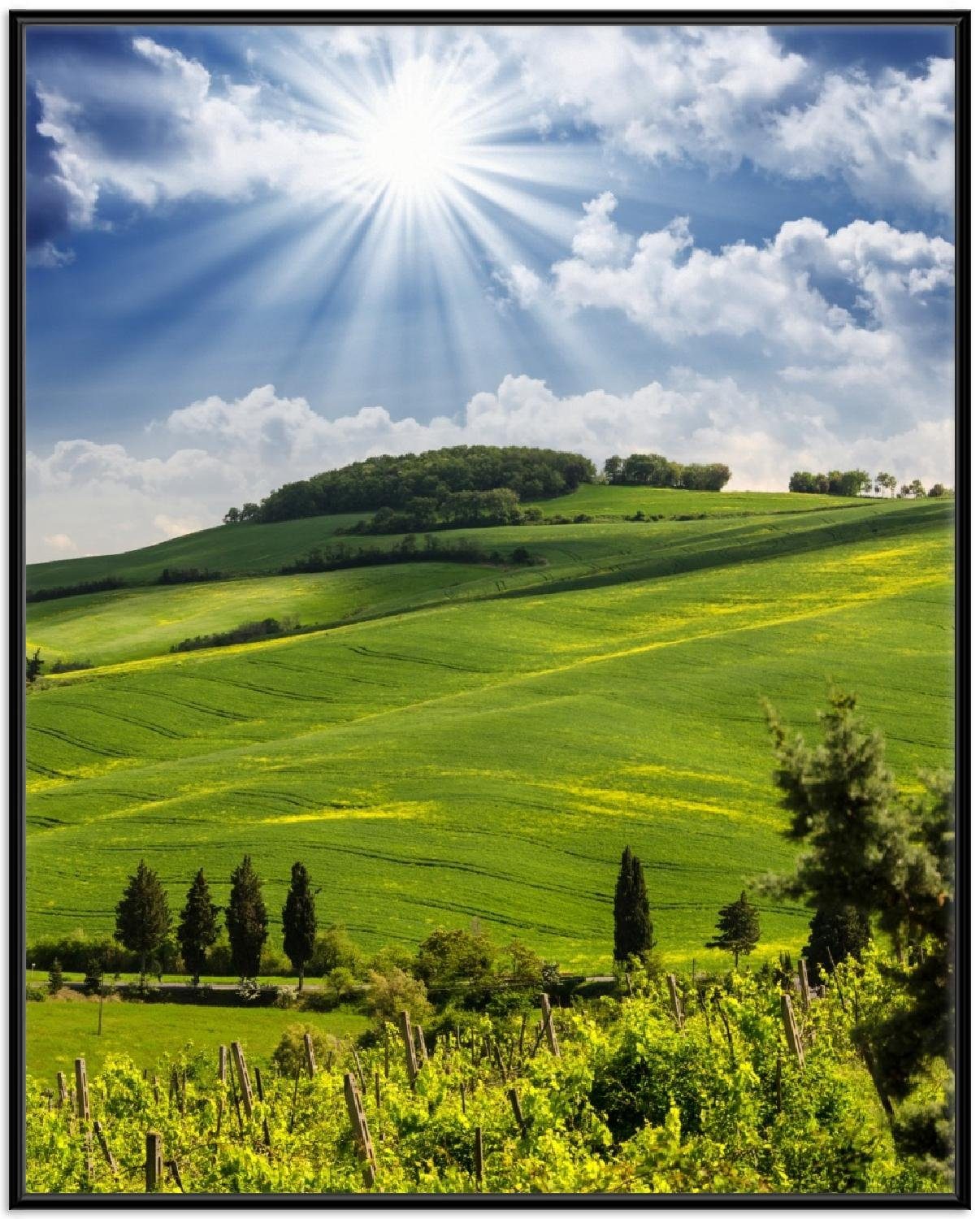 Wallario Poster, Strahlender Sonnenschein, in verschiedenen günstig online kaufen