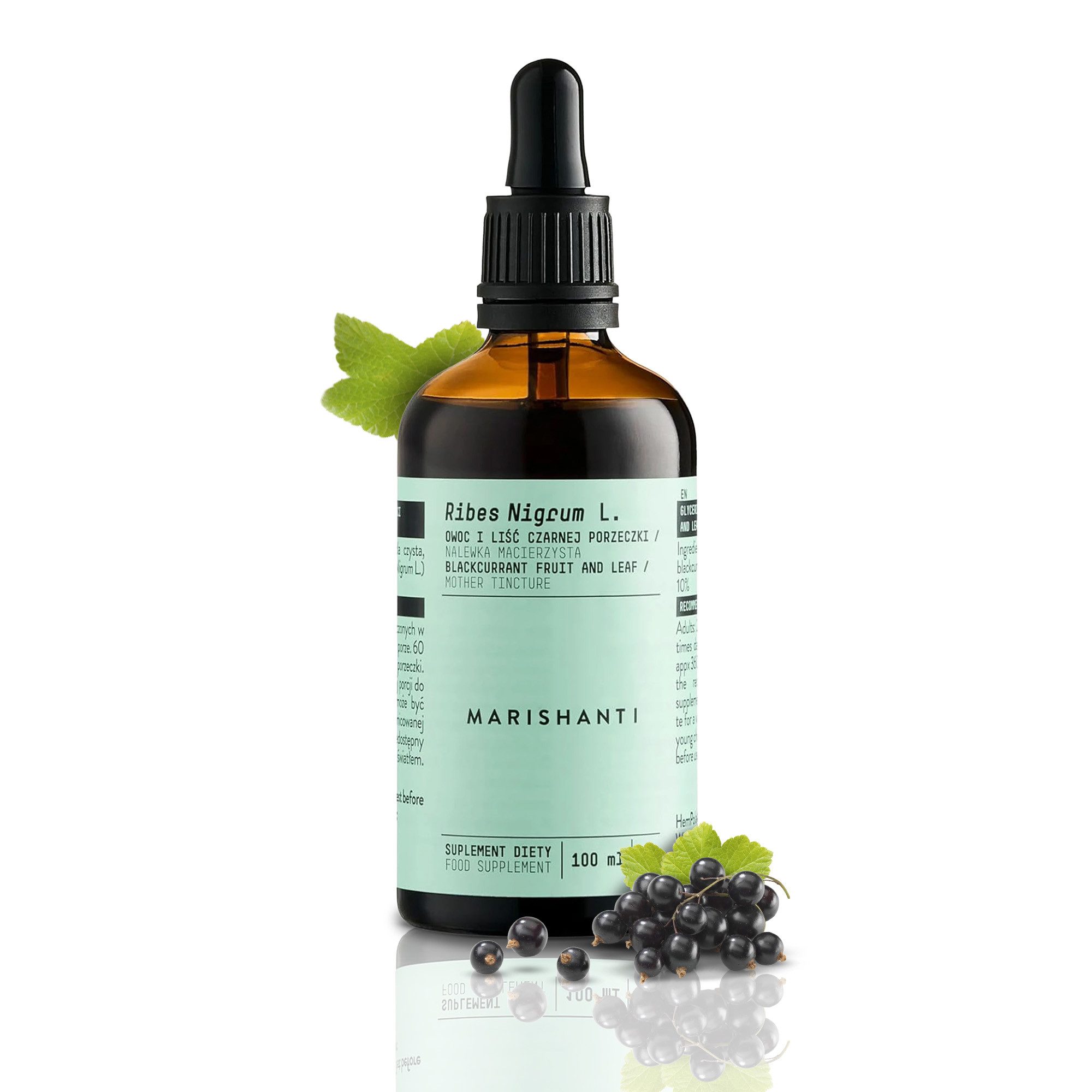 MARISHANTI Schwarze Johannisbeere Extrakt – alkoholfreie Tropfen, pflanzliche Tinktur als Nahrungsergänzungsmittel (Ribes nigrum) à 100 ml, – Vegan