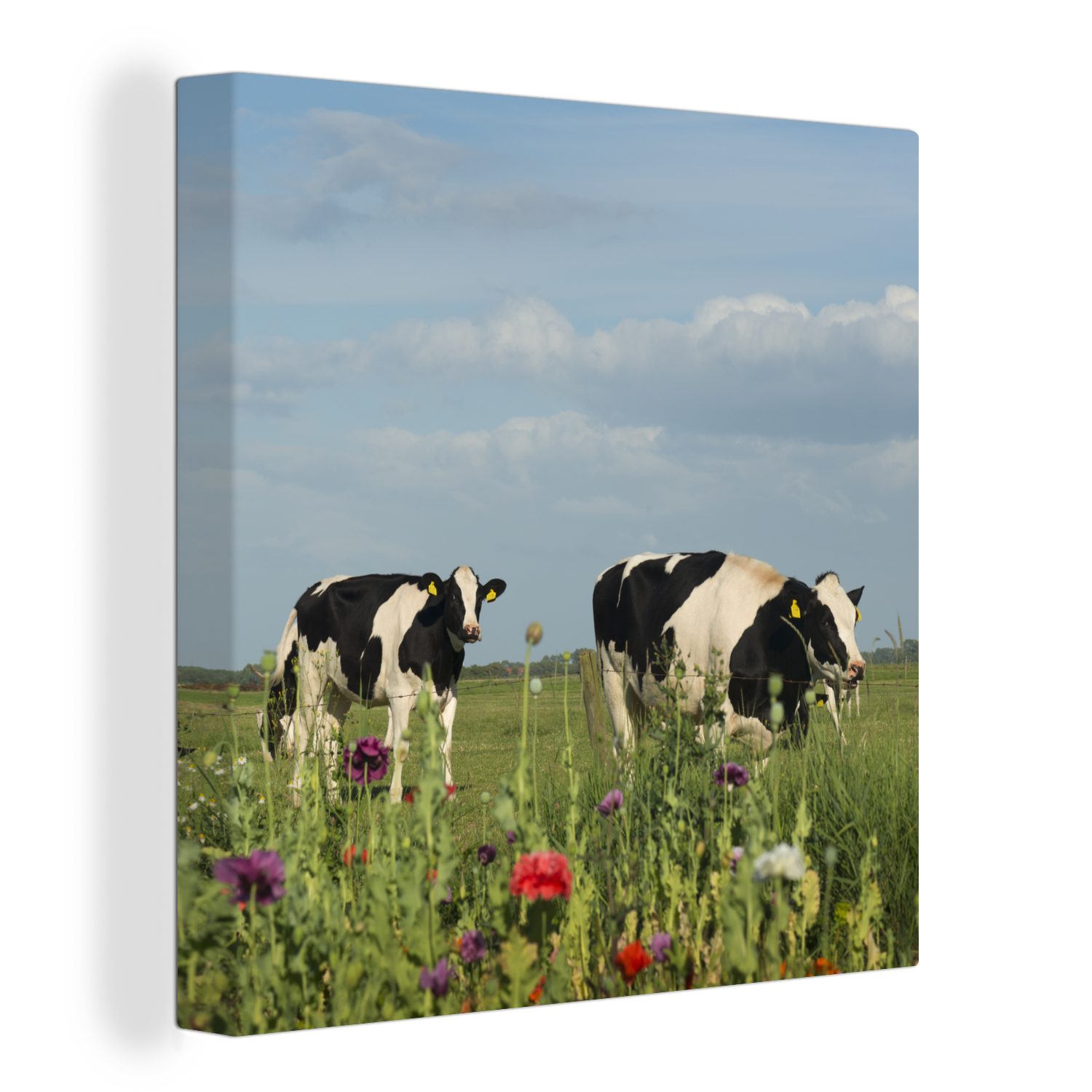 Leinwandbild Kuh - Blumen - Gras - Tiere