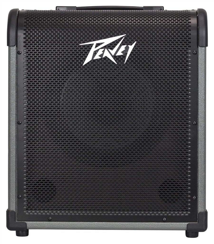 Peavey E-Gitarre Peavey MAX 100