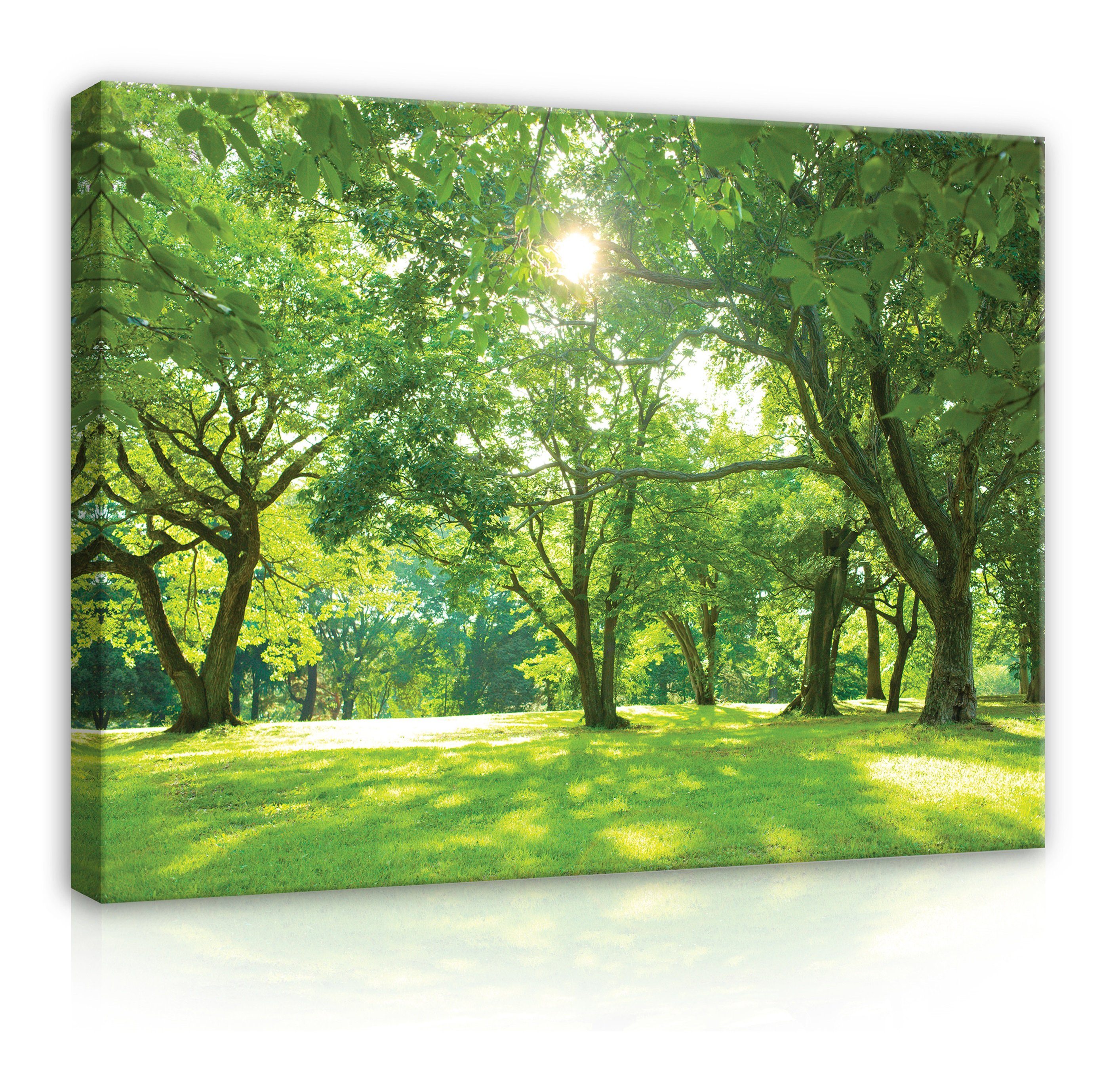 Wallarena Leinwandbild Wald Sonne Park Natur Grün Wandbild XXL Leinwandbilder Modern, Park (Einteilig), Aufhängefertig