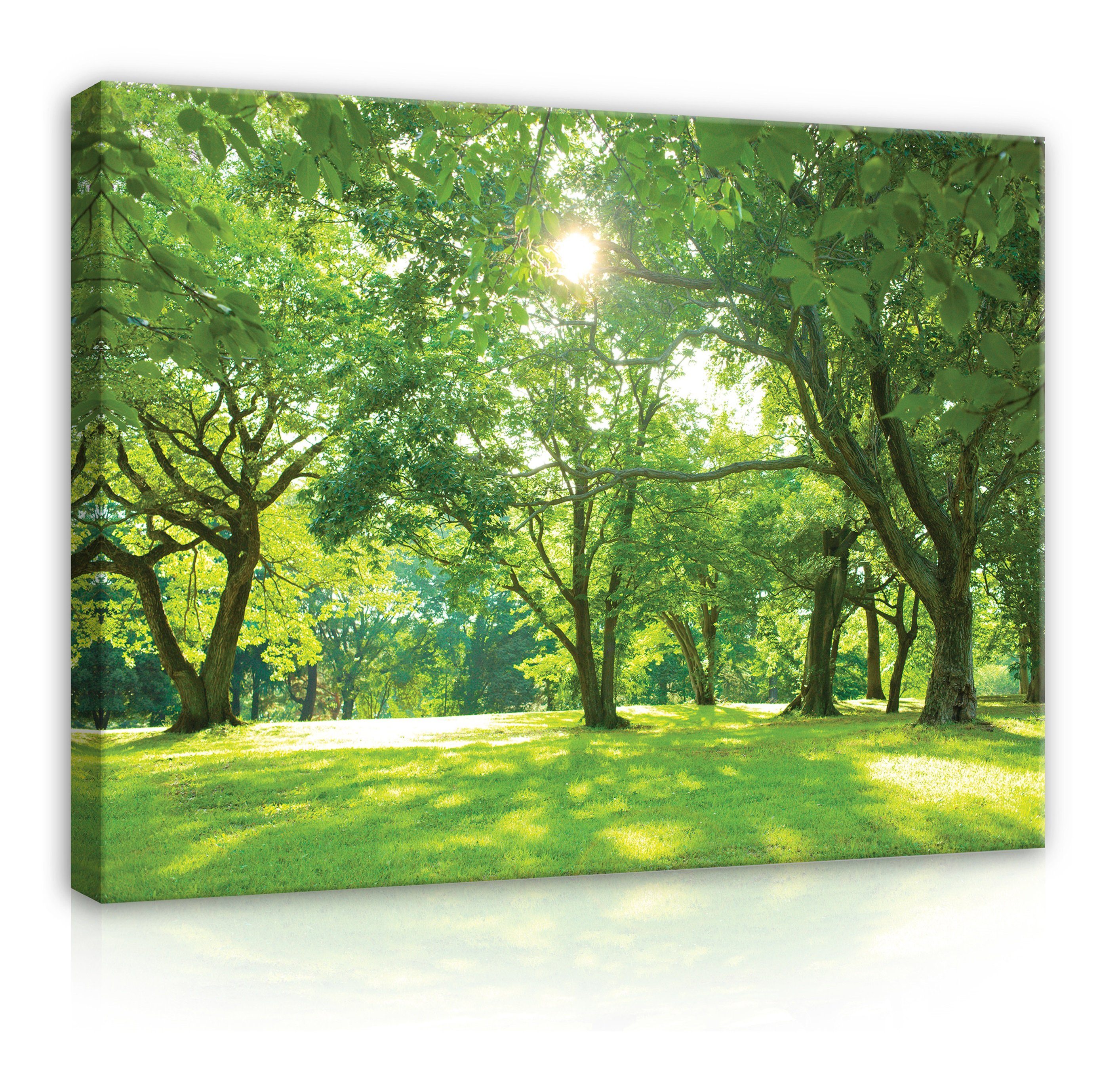 Wallarena Leinwandbild Wald Sonne Natur Grün Wandbild Wand Deko Leinwandbil günstig online kaufen