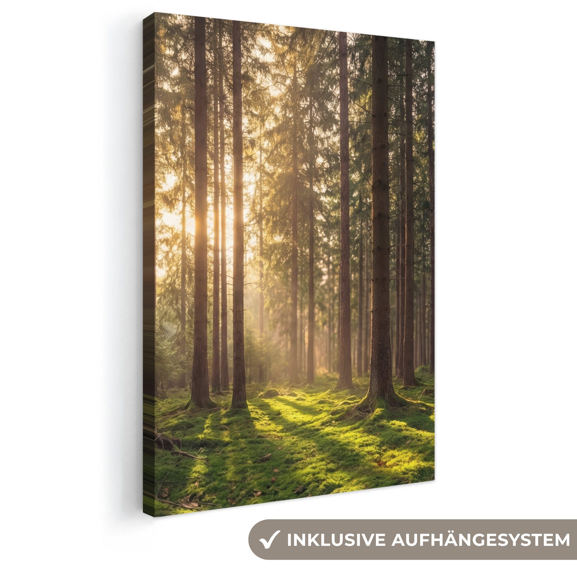 OneMillionCanvasses® Leinwandbild Wald - Gras - Sonnenlicht, Fotodruck (1 St), Leinwand Canvas Wandbild, Wanddekoration 20x30 cm