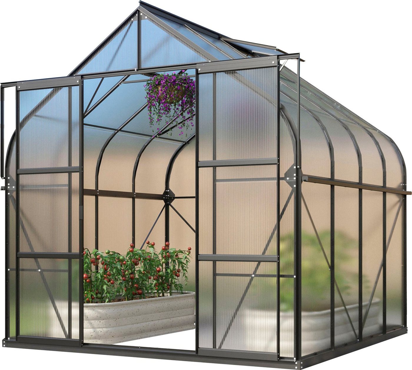 Vitavia Gewächshaus Dione 6700, BxTxH: 263,5 x 258 x 254,5 cm, 4 mm Wandstärke, Alu-Profile, Stahlfundamentrahmen, 4 mm Hohlkammerplatten schwarz Vitavia Gewächshaus Dione 6700, BxTxH: 263,5 x 258 x 254,5 cm, 4 mm Wandstärke, Alu-Profile, Stahlfundamentrahmen, 4 mm Hohlkammerplatten schwarz