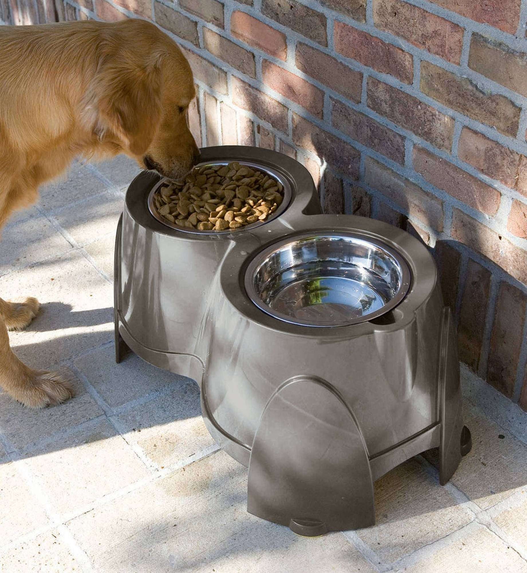 erhöhte futterstation hund