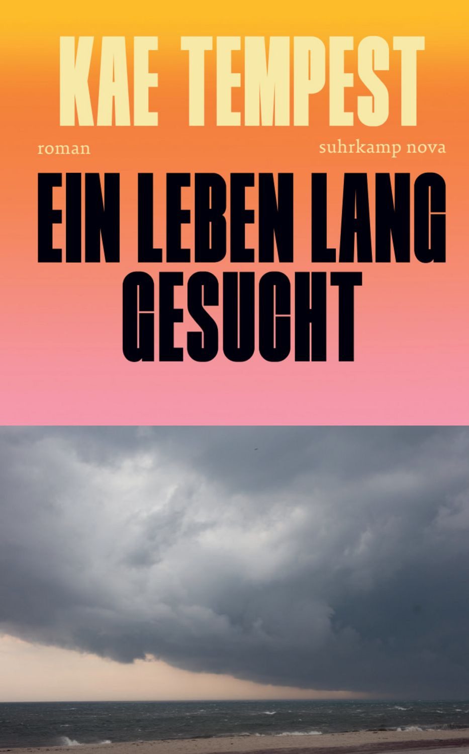 Ein Leben lang gesucht / Kae Tempest