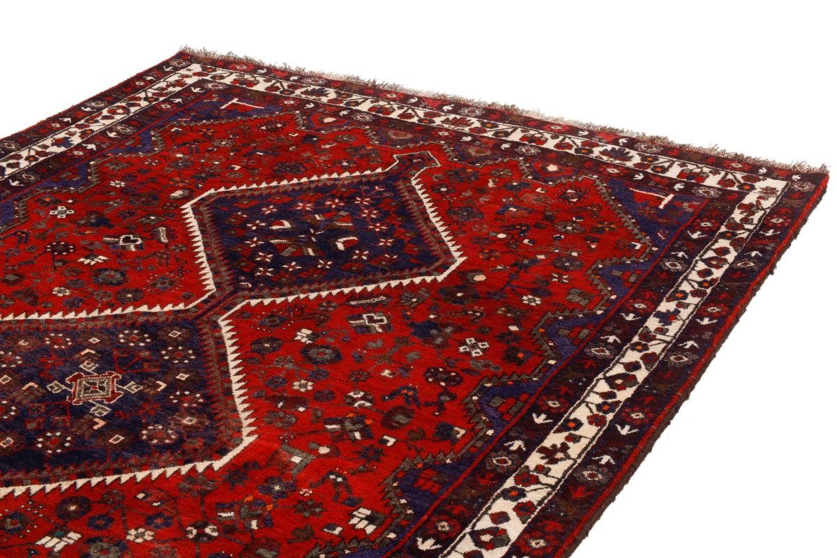 Nain Perserteppich, rechteckig, Handgeknüpfter mm Orientteppich Shiraz 10 Orientteppich / Höhe: 184x264 Trading,