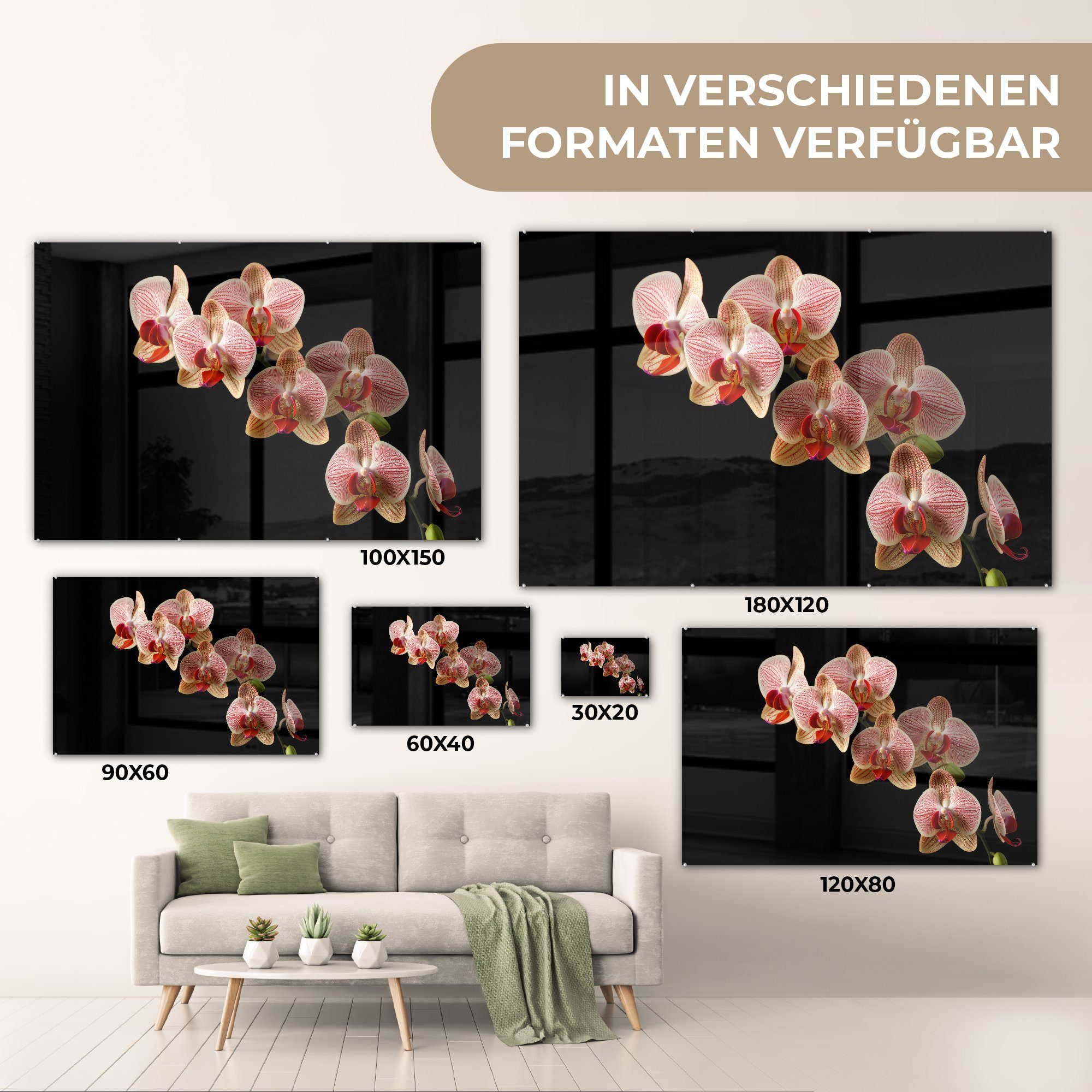 MuchoWow Bilder auf Botanisch St), Glas - Glasbilder (1 - Acrylglasbild Foto auf Natur, - Glas Wanddekoration Blumen Rosa - Orchidee Wandbild - - -