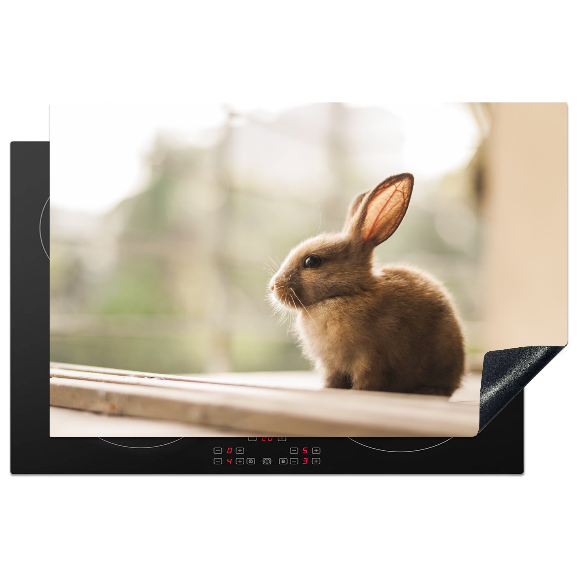 MuchoWow Herdblende-/Abdeckplatte Kaninchen - Baby - Tier, Vinyl, (1 tlg), 81x52 cm, Induktionskochfeld Schutz für die küche, Ceranfeldabdeckung