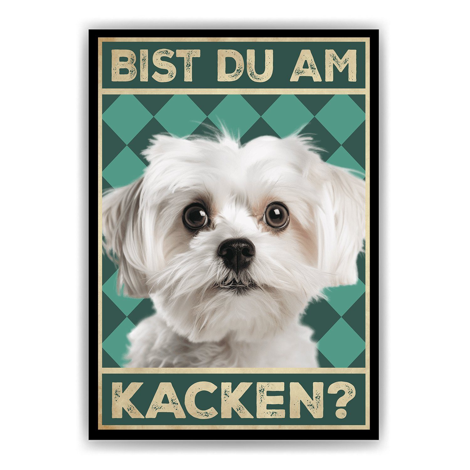 Tigerlino Poster Bist du am Kacken? günstig online kaufen