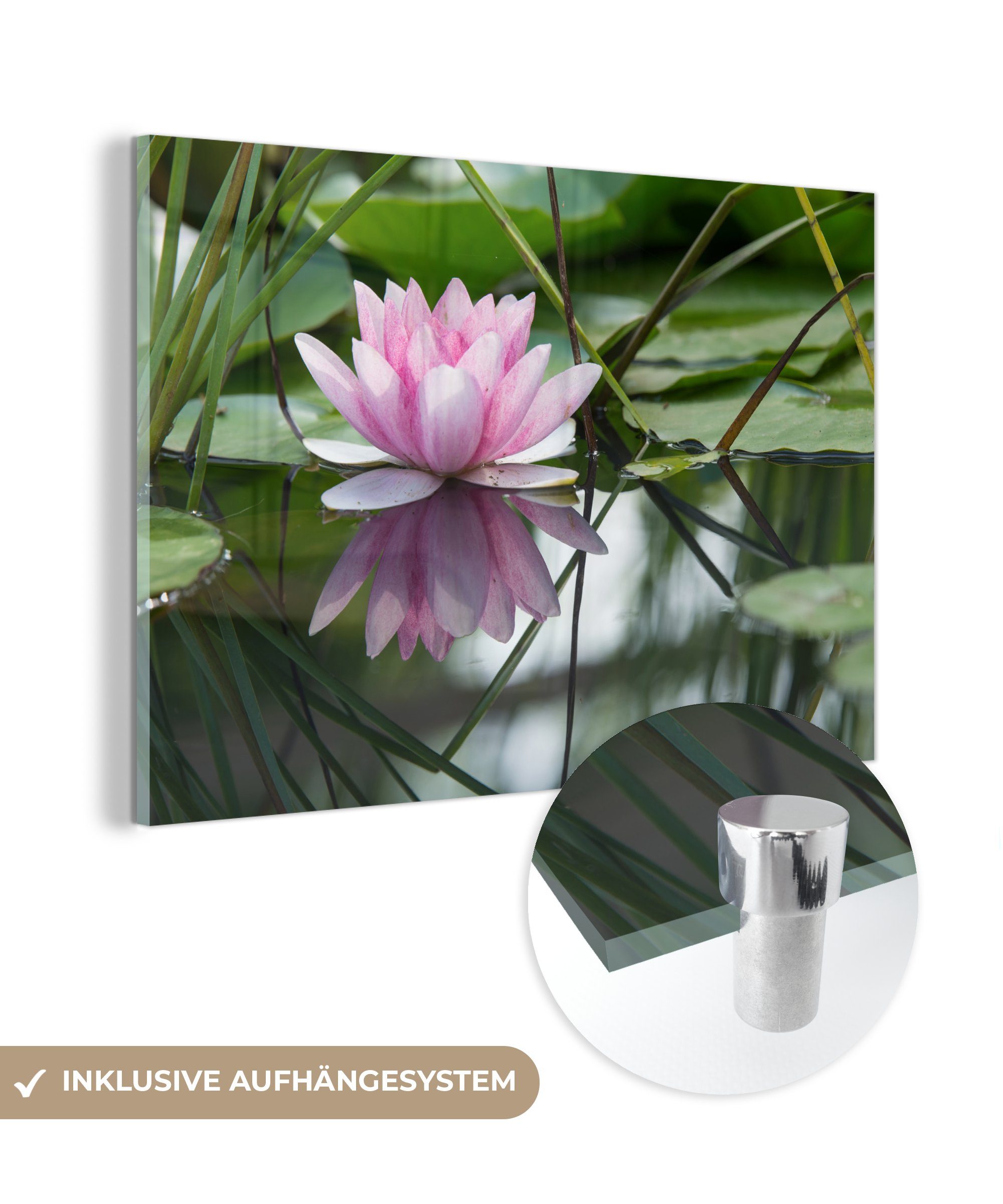 St), & Acrylglasbilder - Wohnzimmer Schlafzimmer Blumen Acrylglasbild (1 - Lotus MuchoWow Wasser,