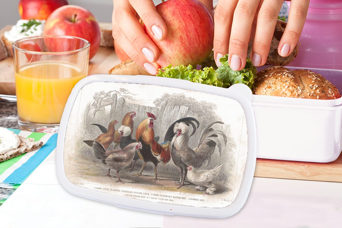 Erwachsene, von und Bauernhof, eines einem Kunststoff, Kinder und für Hahns Lunchbox Brotdose, (2-tlg), Mädchen auf MuchoWow Hühnern Jungs weiß für Illustration Brotbox und