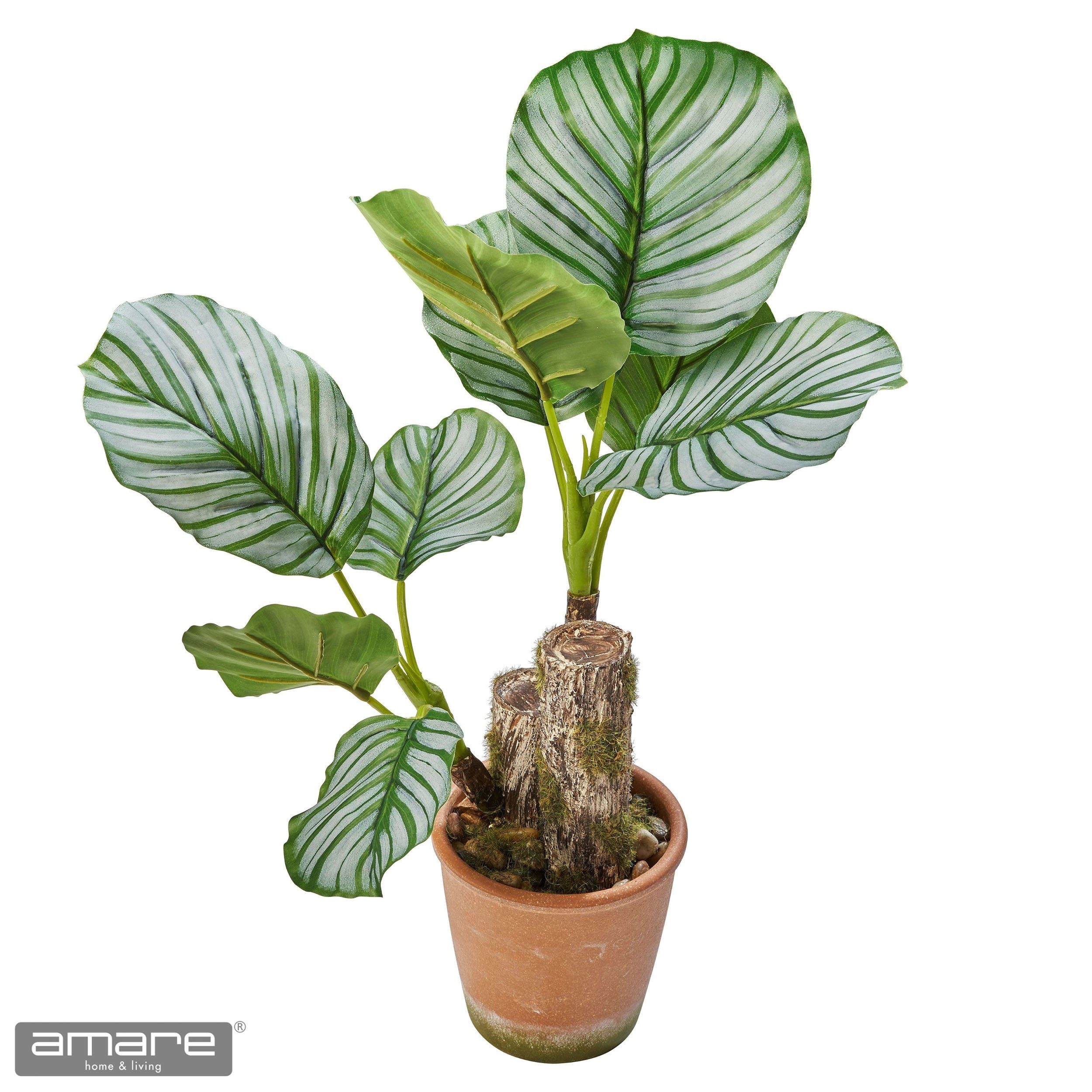 Höhe Dekopflanze home, Zimmerpflanze cm 45 Künstliche Calatheapflanze, Amare