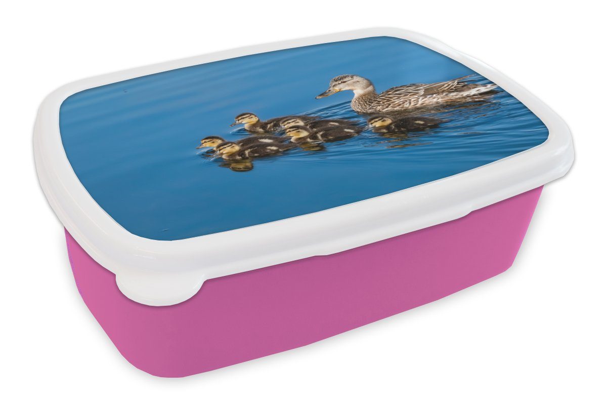 MuchoWow Lunchbox Ente - Wasser - Vogel - Braun, Kunststoff, (2-tlg), Brotbox für Erwachsene, Brotdose Kinder, Snackbox, Mädchen, Kunststoff rosa
