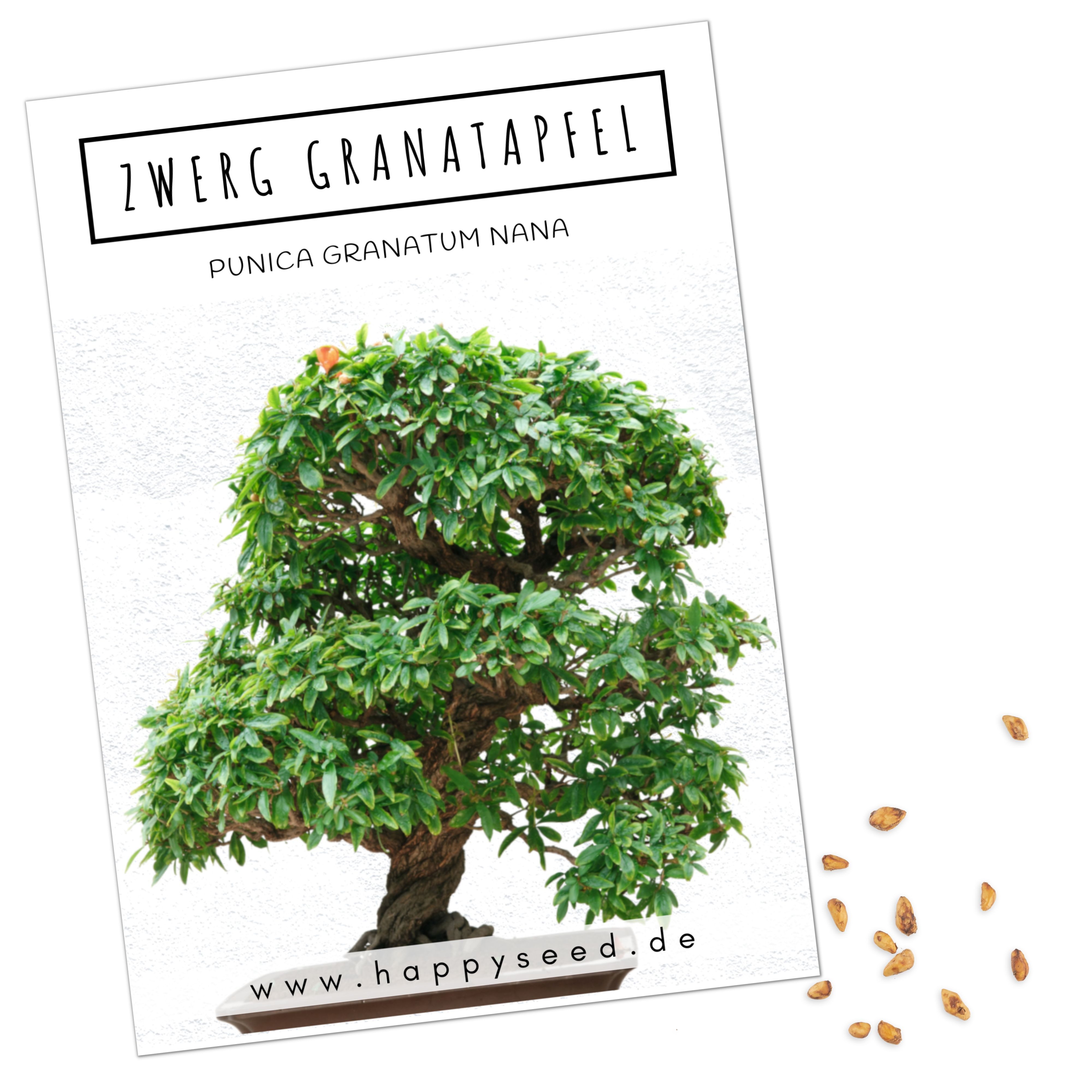 HappySeed Blumensamen Exotische Bonsai Samen mit hoher Keimrate - Zwerg Granatapfel, Bonsaifähig