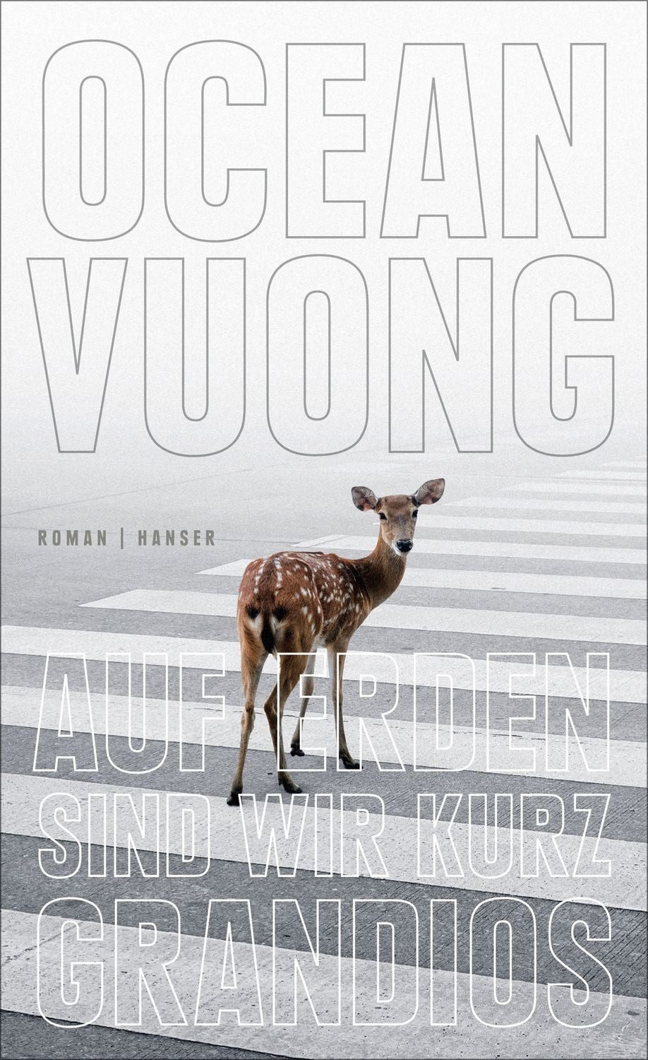 Auf Erden sind wir kurz grandios / Ocean Vuong, Roman