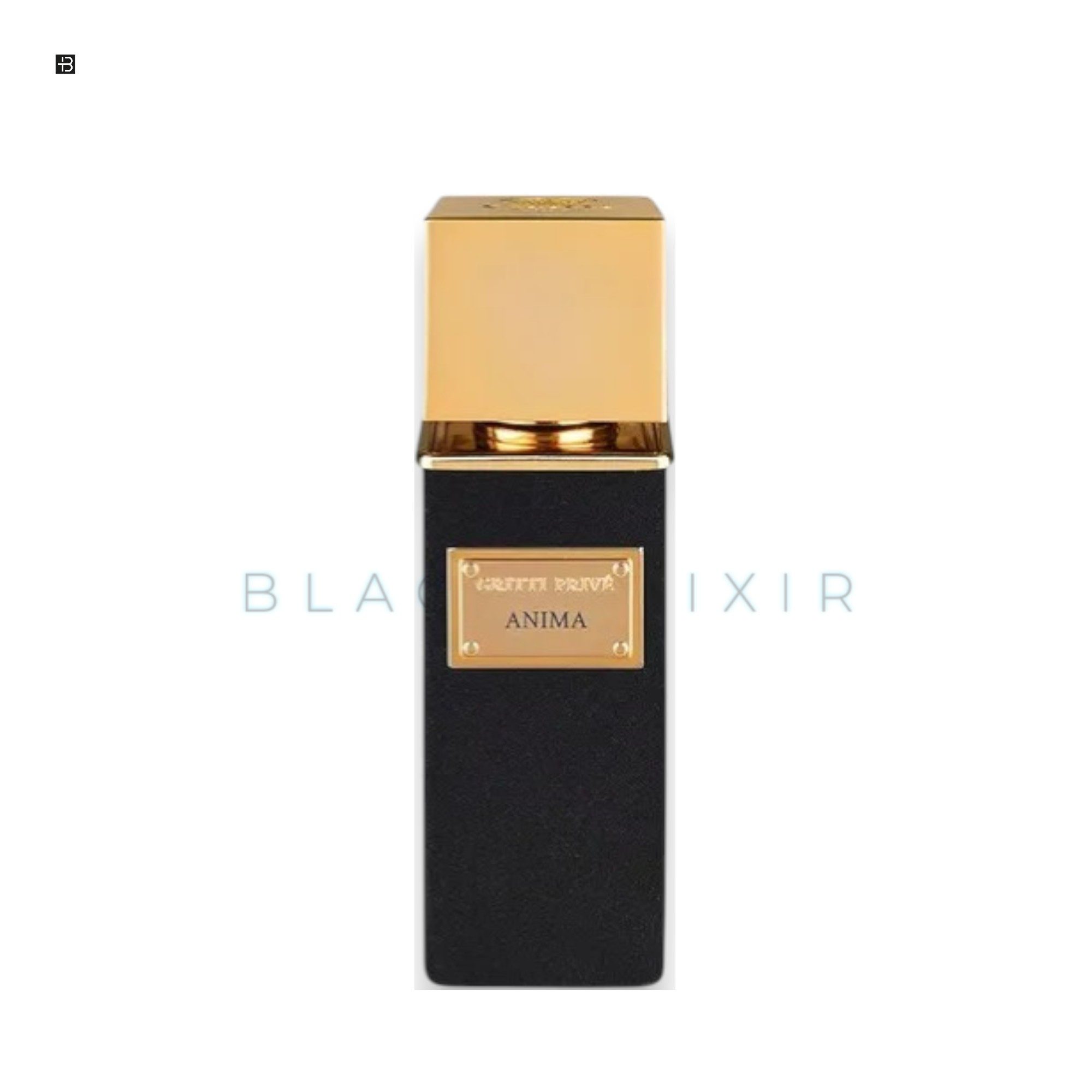 Gritti Eau de Parfum GRITTI Privé Anima Parfum 100 ml, 1-tlg., EDP