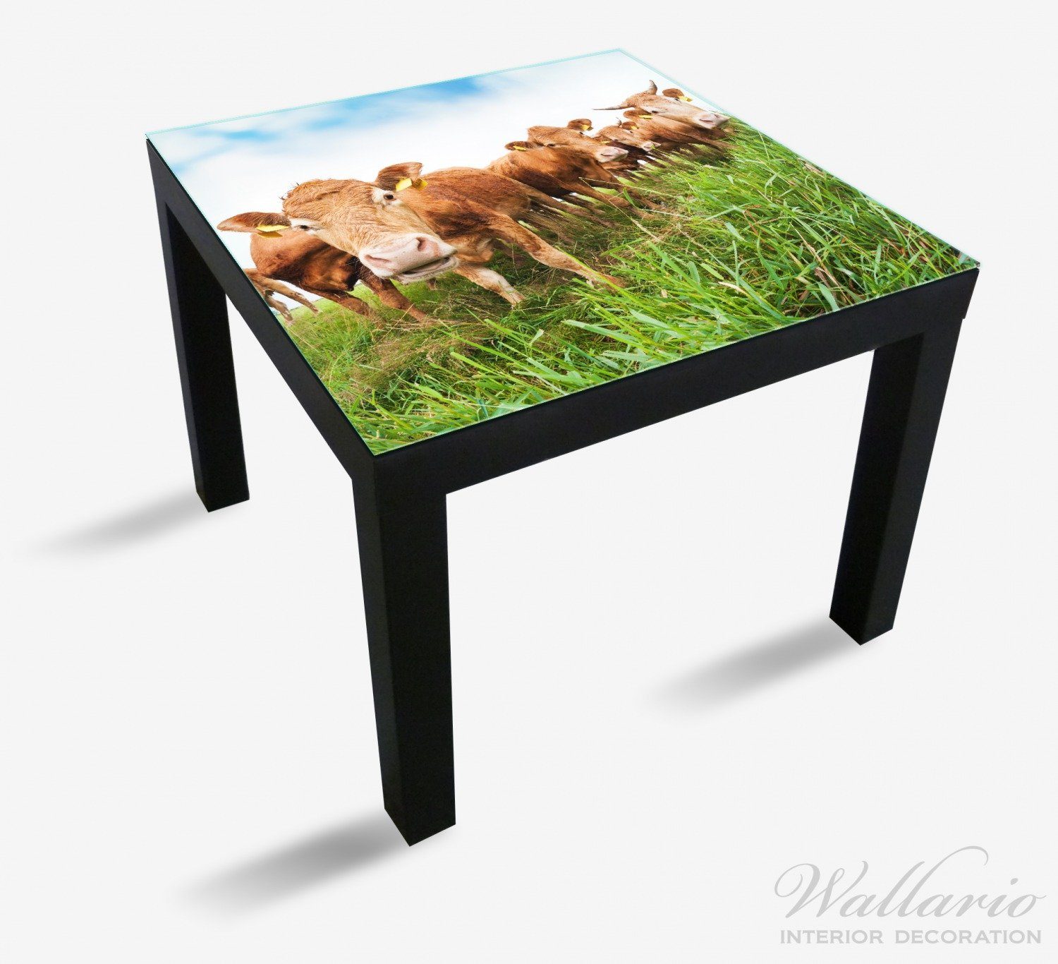 Kühe Wallario geeignet Sommer Tisch auf Lack der St), im Tischplatte Ikea Weide (1 für