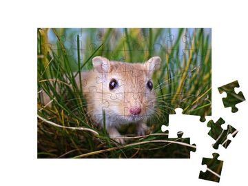 puzzleYOU Puzzle Kleine Rennmaus im Gras, 48 Puzzleteile, puzzleYOU-Kollektionen Springmaus, Tiere in Savanne & Wüste