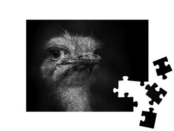 puzzleYOU Puzzle Aufnahme eines Straußenkopfes, schwarz-weiß, 48 Puzzleteile, puzzleYOU-Kollektionen Strauß
