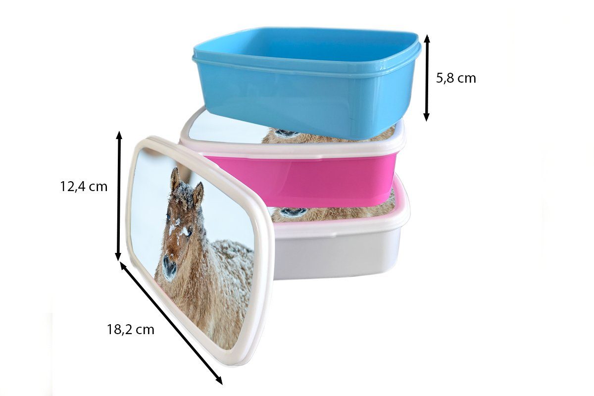 MuchoWow Brotdose Lunchbox Kunststoff Mädchen, Snackbox, bedeckt, mit Junges rosa (2-tlg), für Brotbox Schnee Erwachsene, Kunststoff, Fjordpferd Kinder,